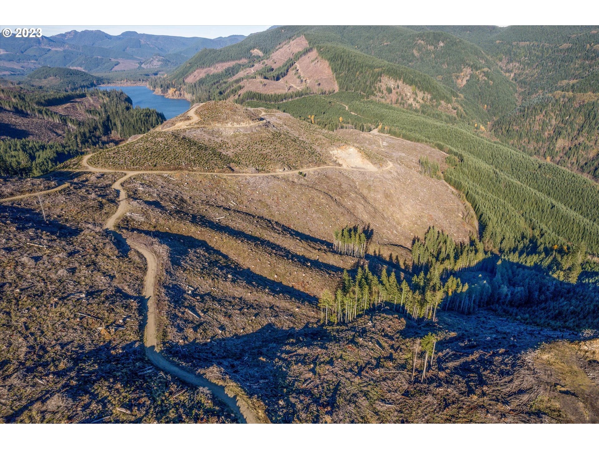 0 USFS 81 RD