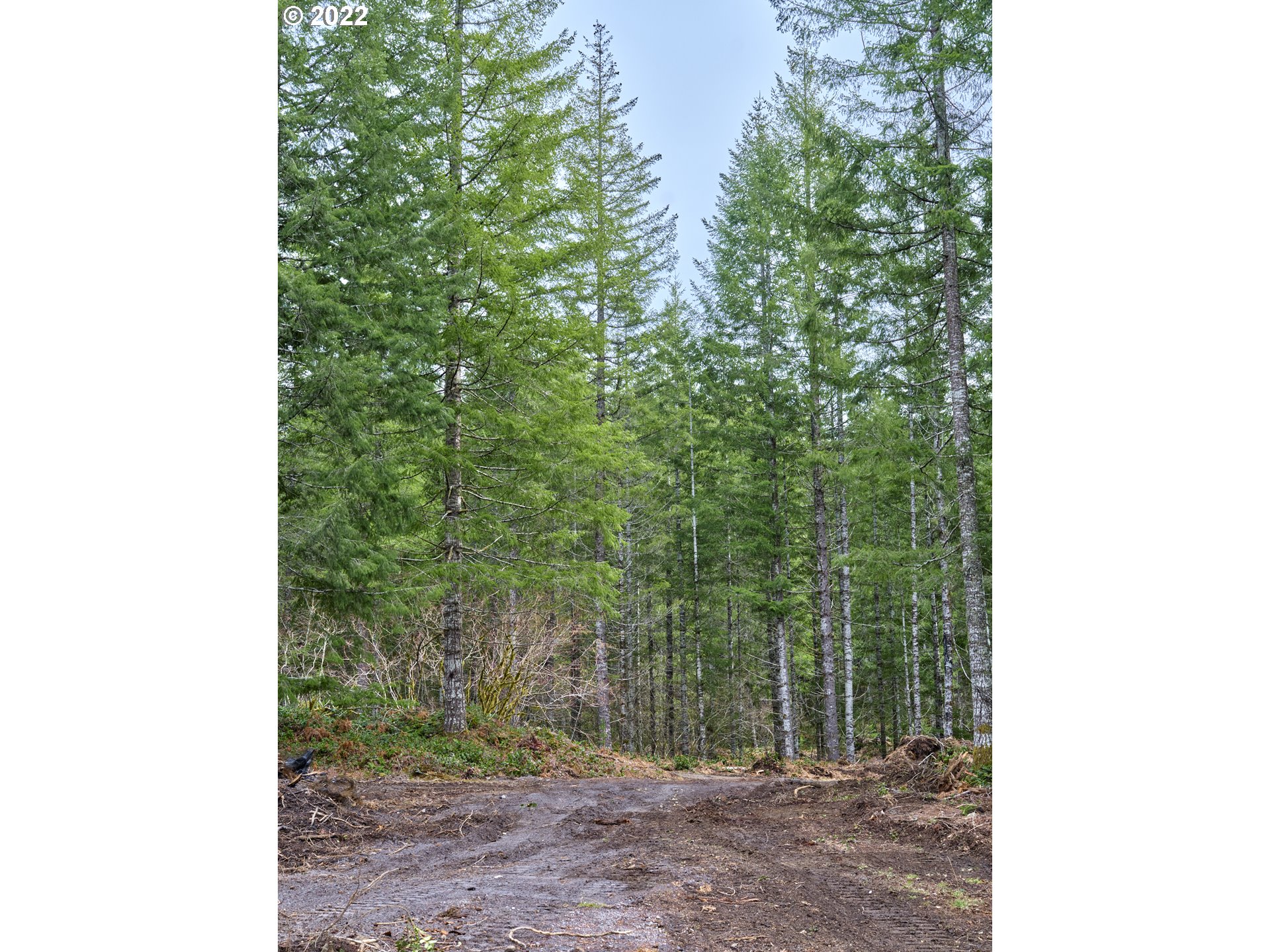 Lahar LN 1A