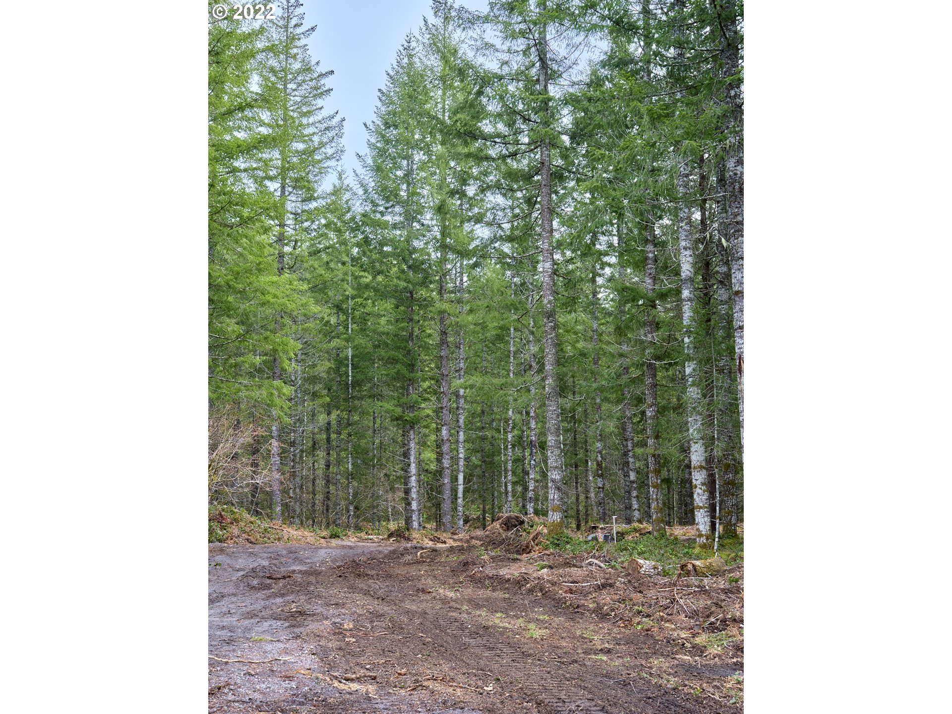 Lahar LN 1A