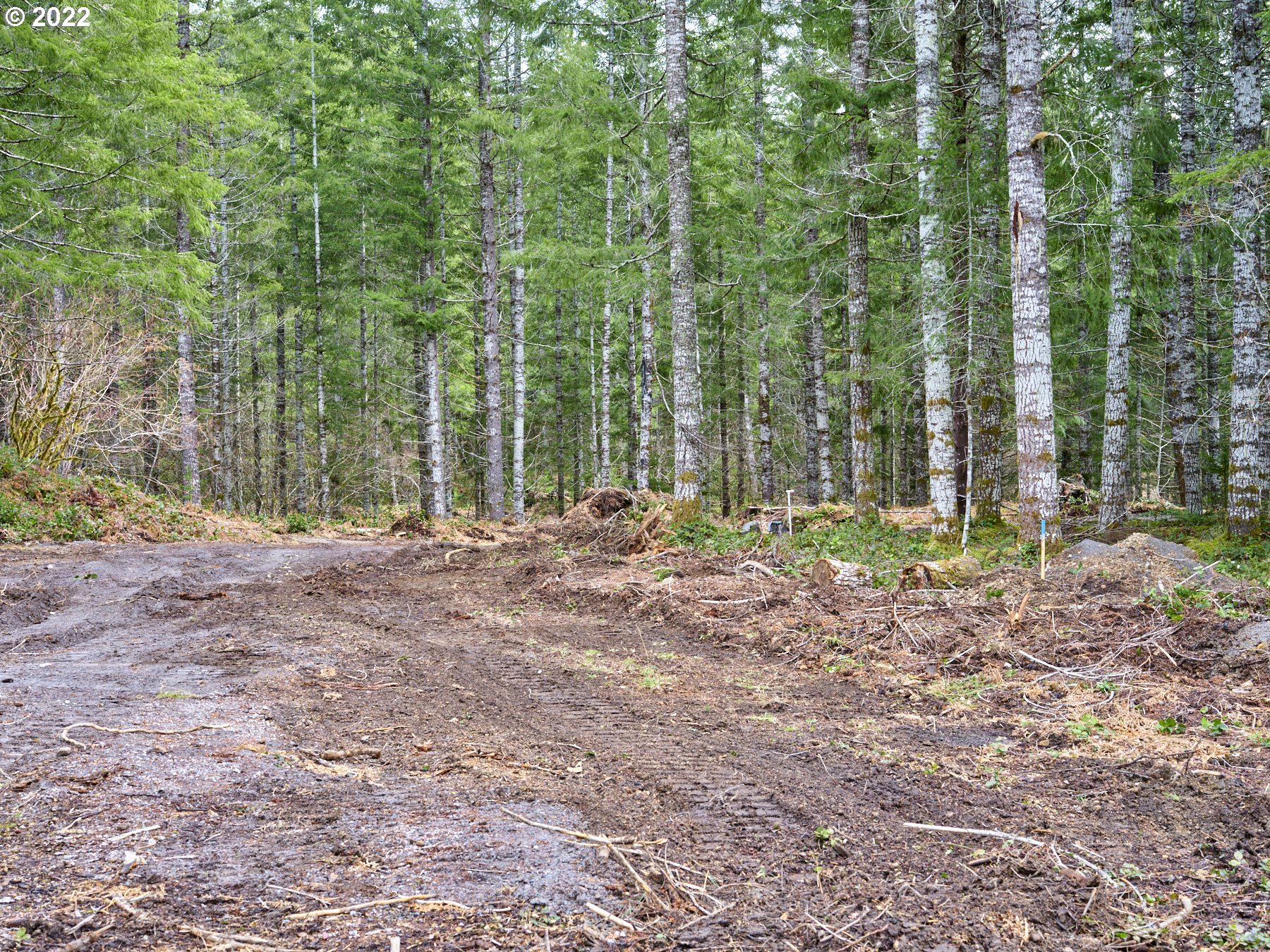 Lahar LN 1A