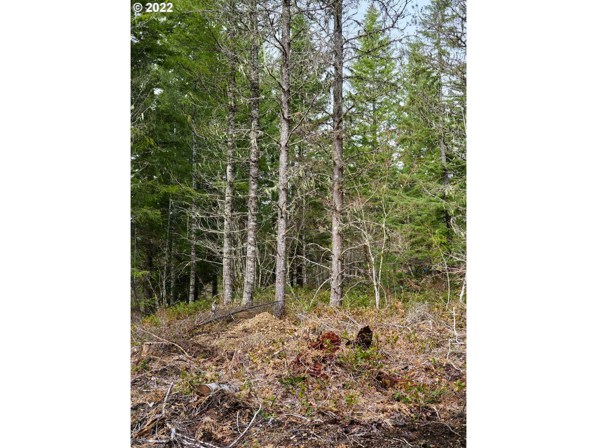 Lahar LN 1A