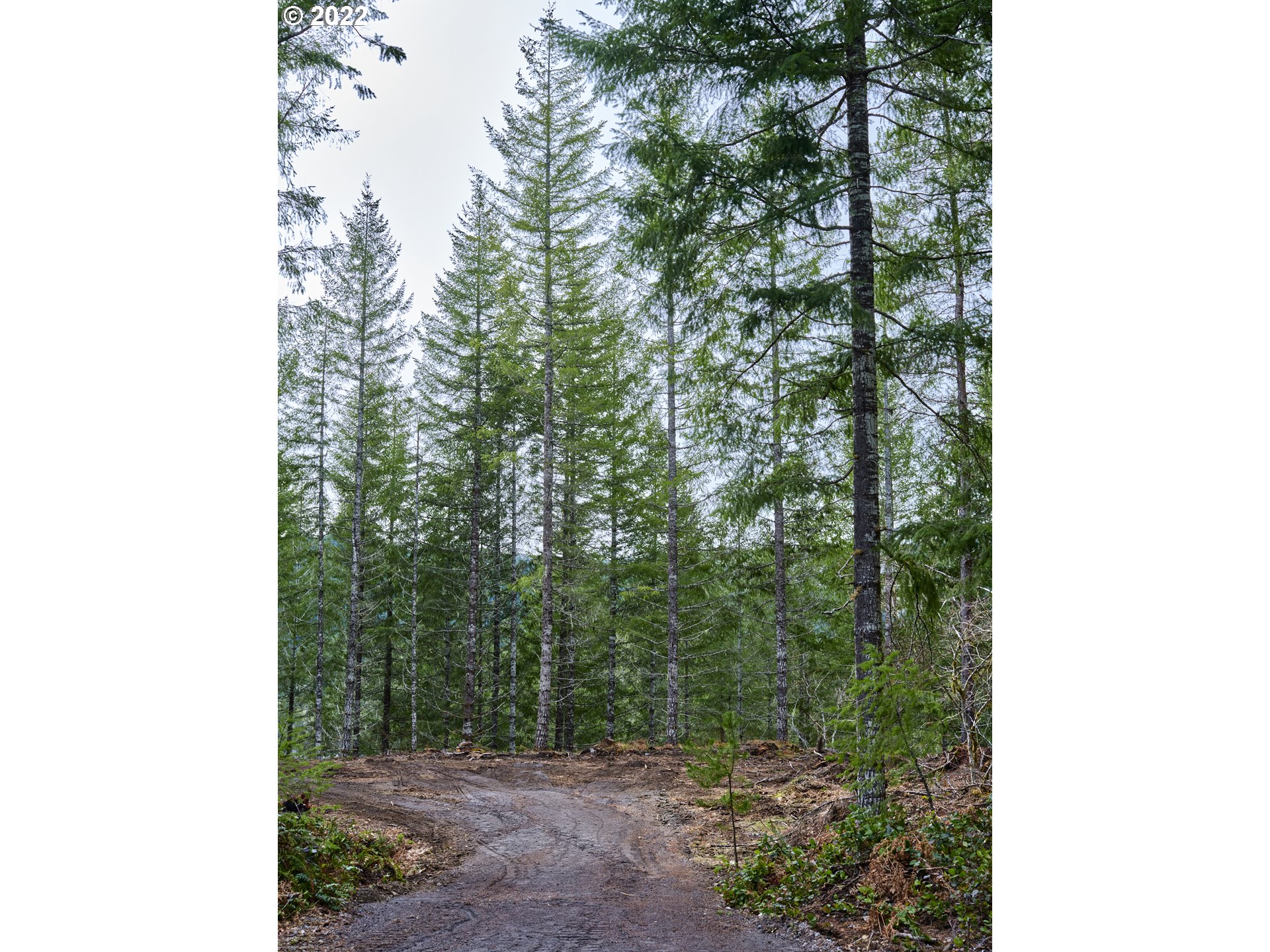 Lahar LN 1A