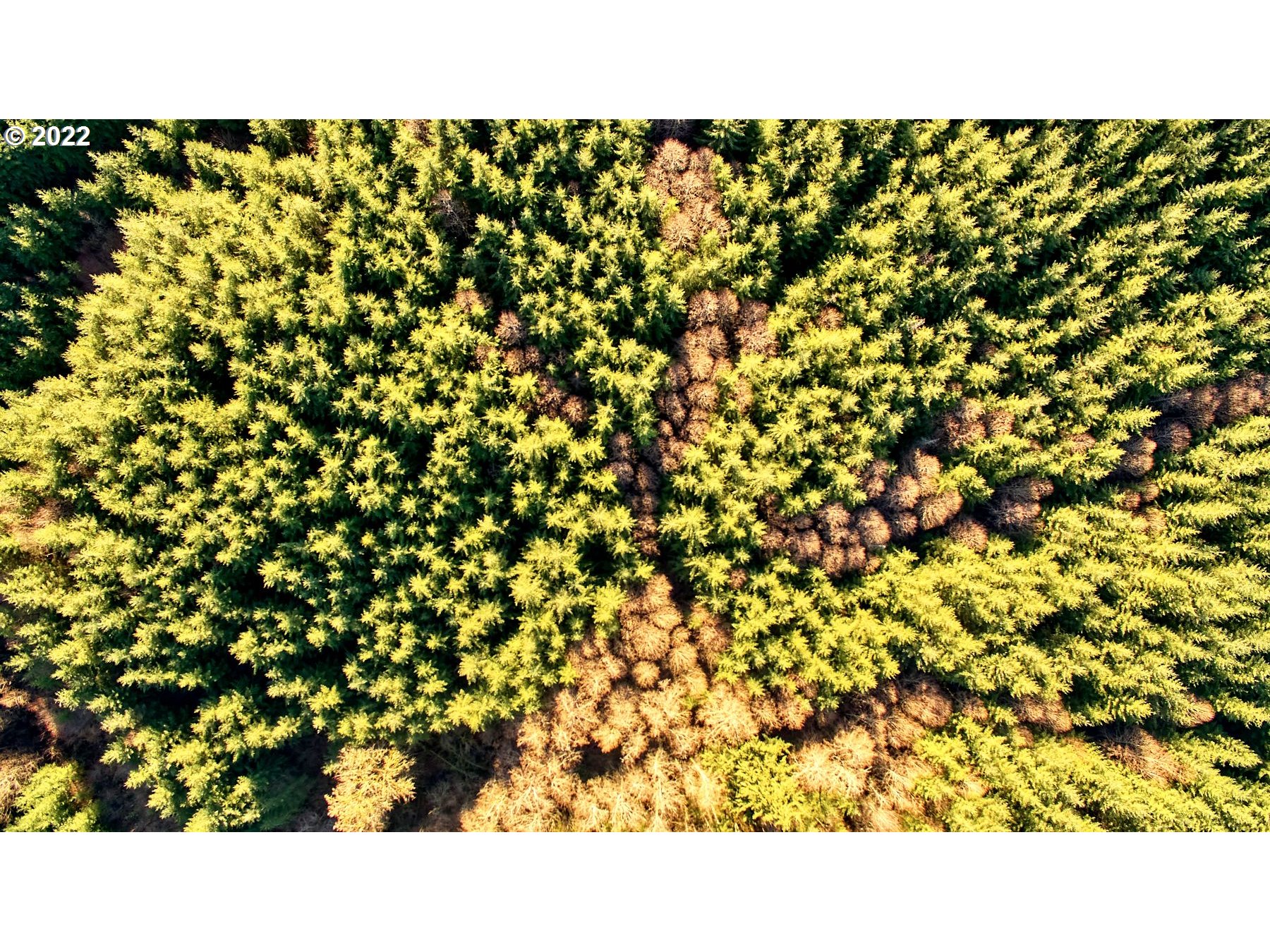 0 Woodland Heights RD