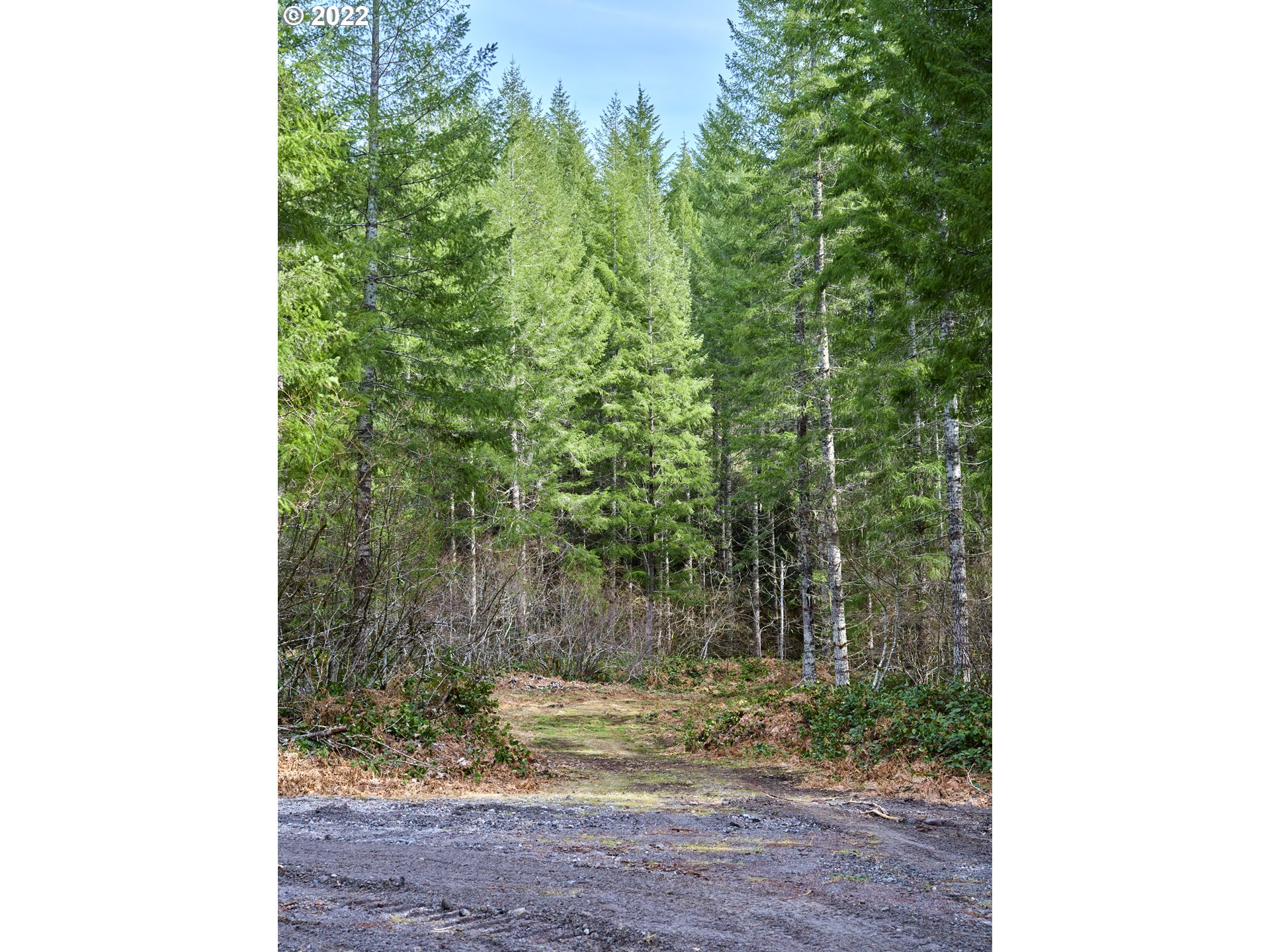 3 Lahar LN