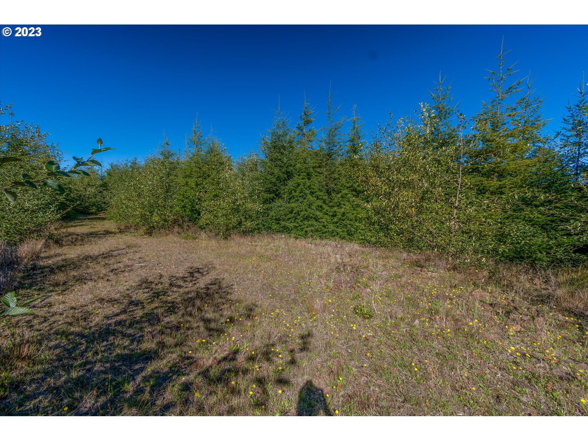 8 Dell Creek Mainline RD