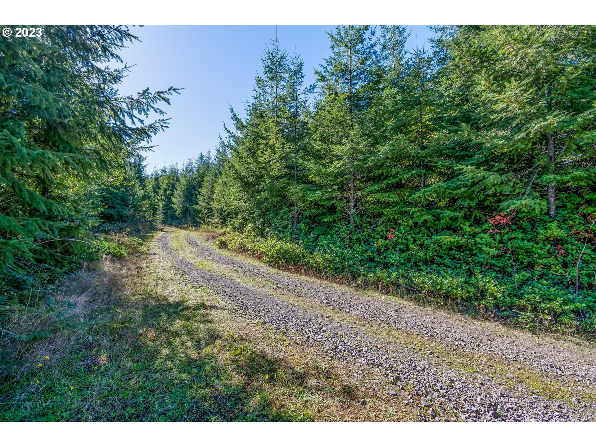 8 Dell Creek Mainline RD