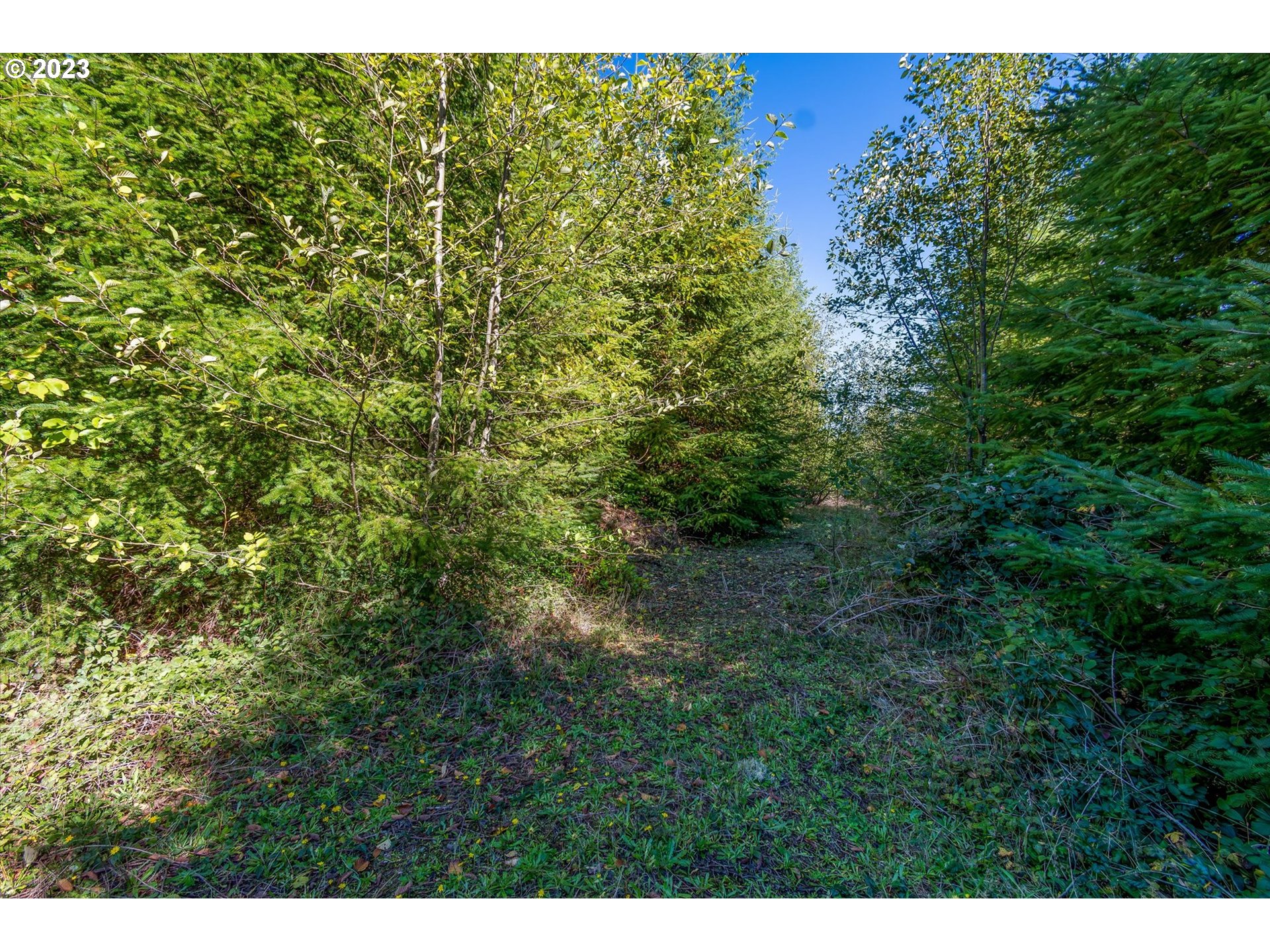 8 Dell Creek Mainline RD