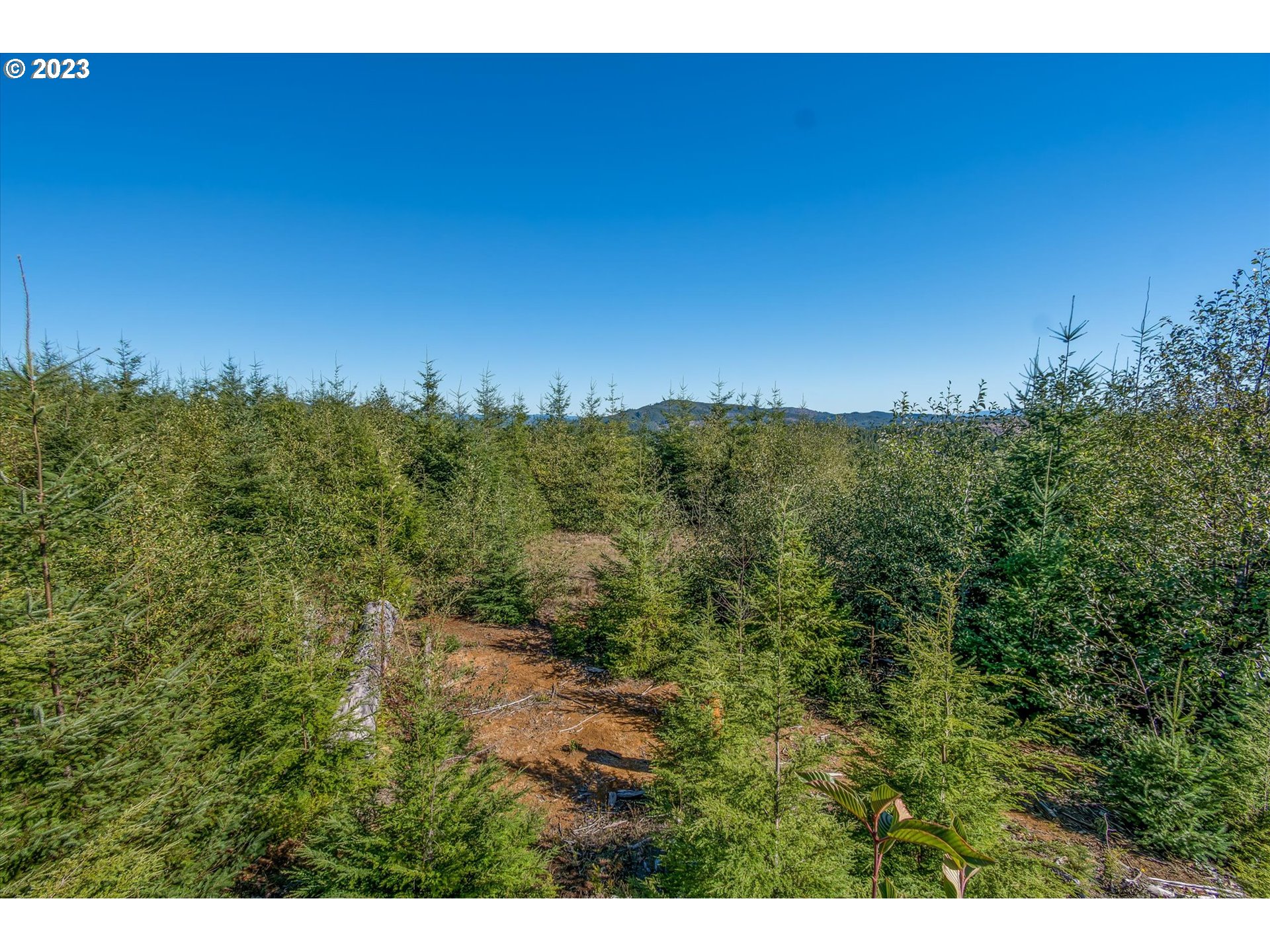 8 Dell Creek Mainline RD