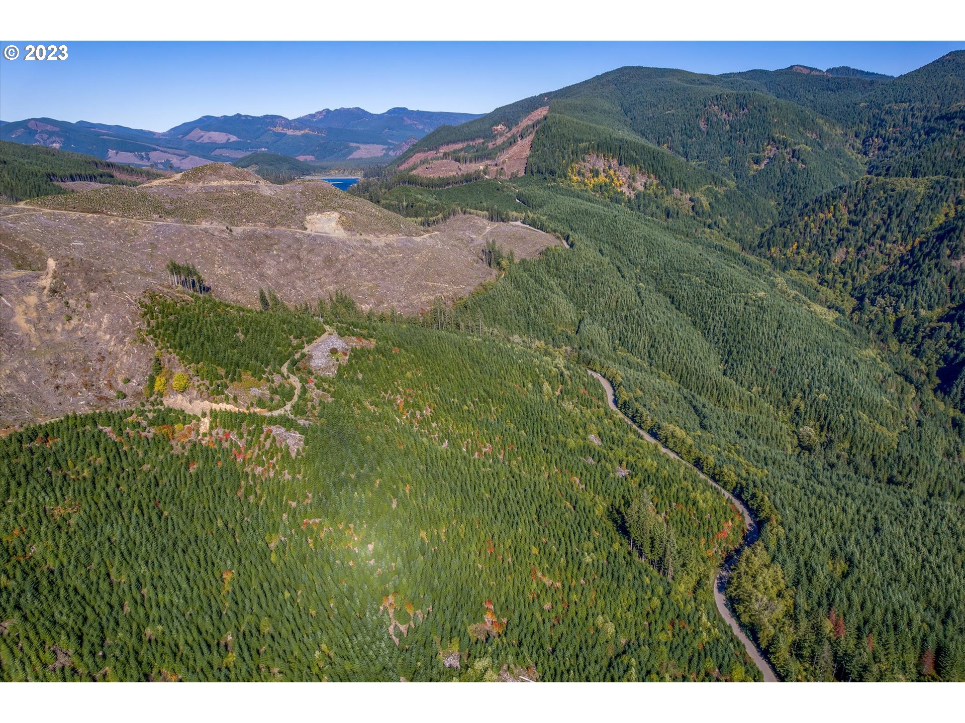 USFS 81 RD