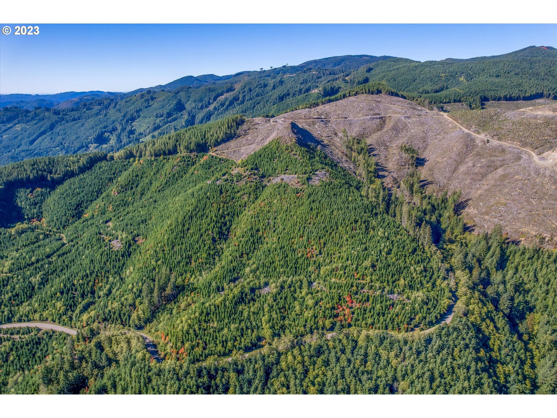 USFS 81 RD