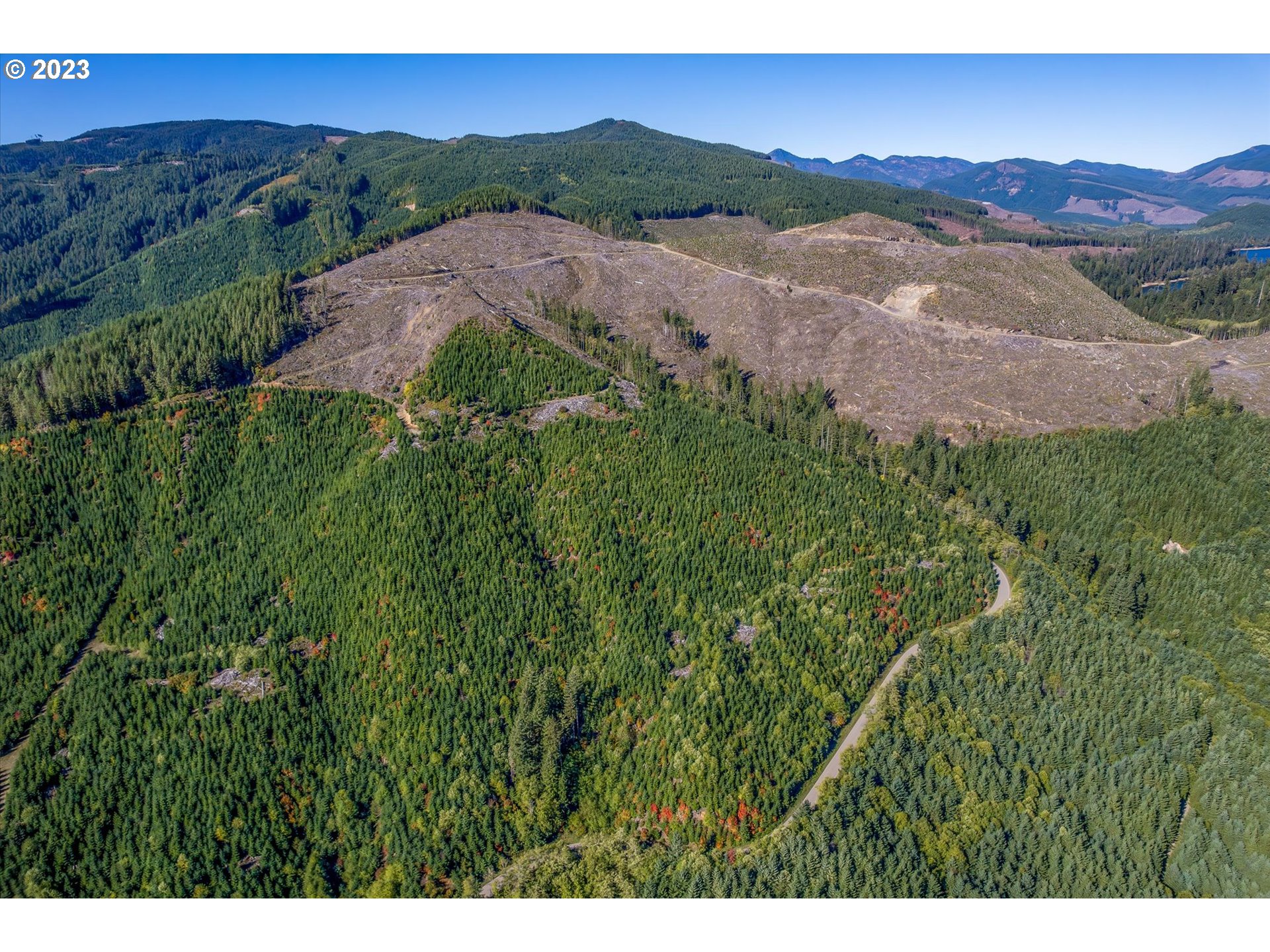 USFS 81 RD