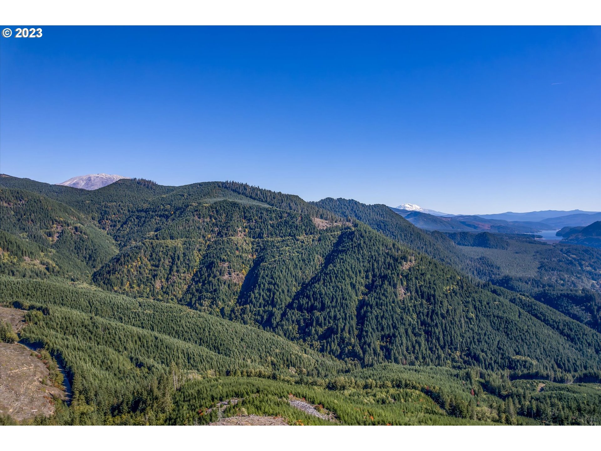 USFS 81 RD