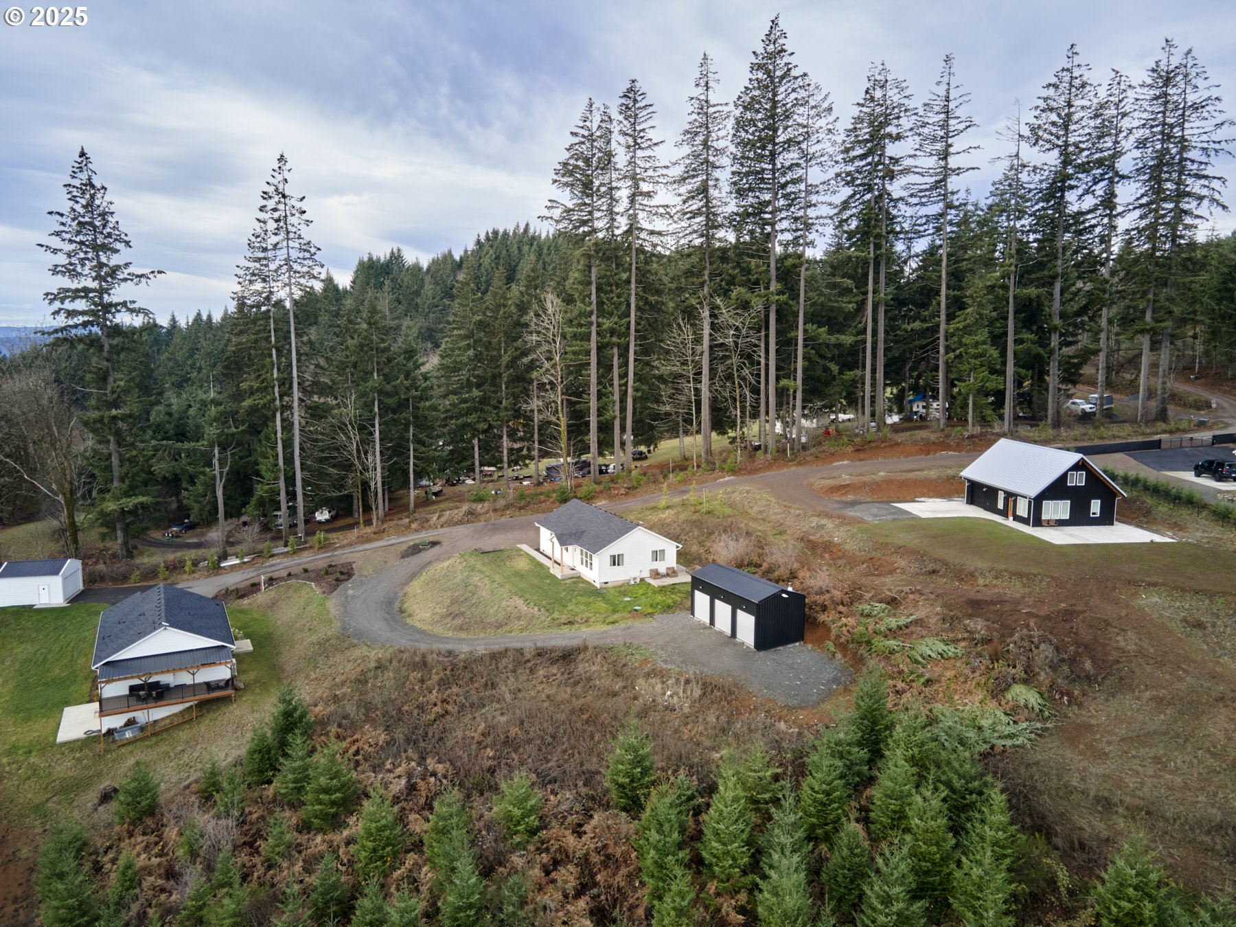 155 BENELLI LN