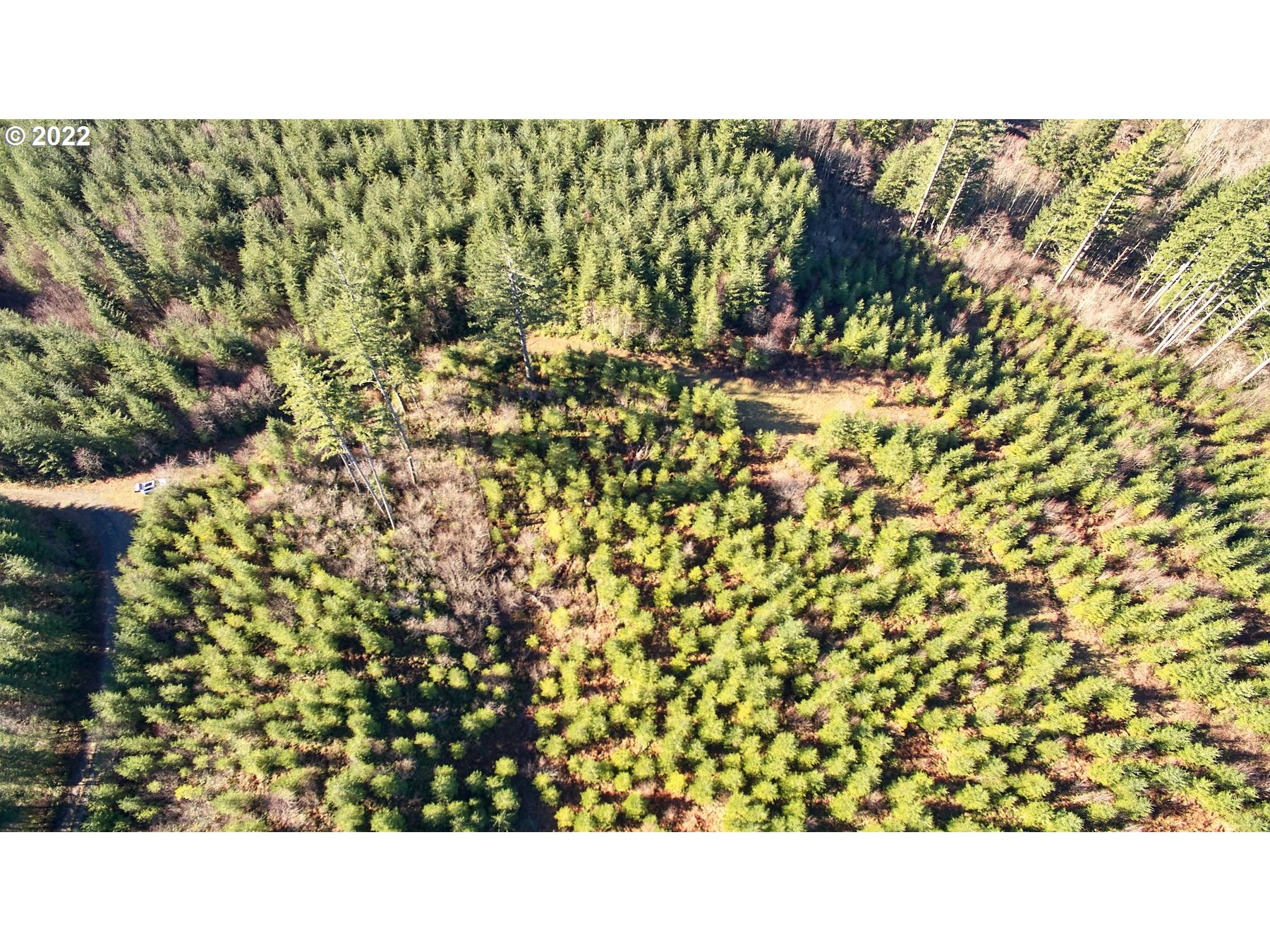 3 NE Jones Creek RD