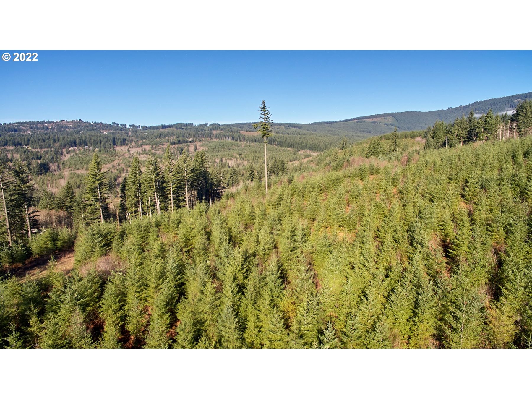 3 NE Jones Creek RD