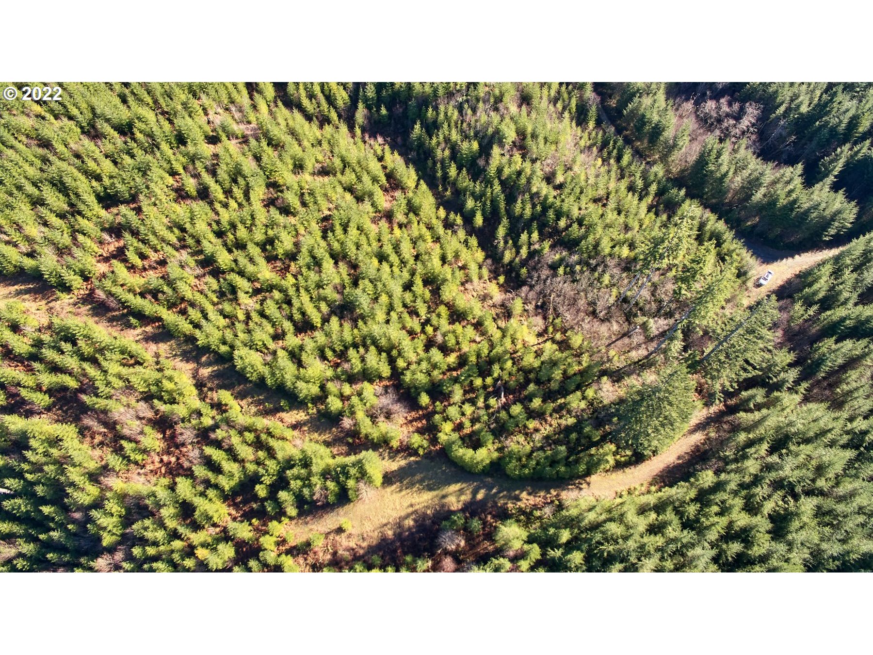 3 NE Jones Creek RD