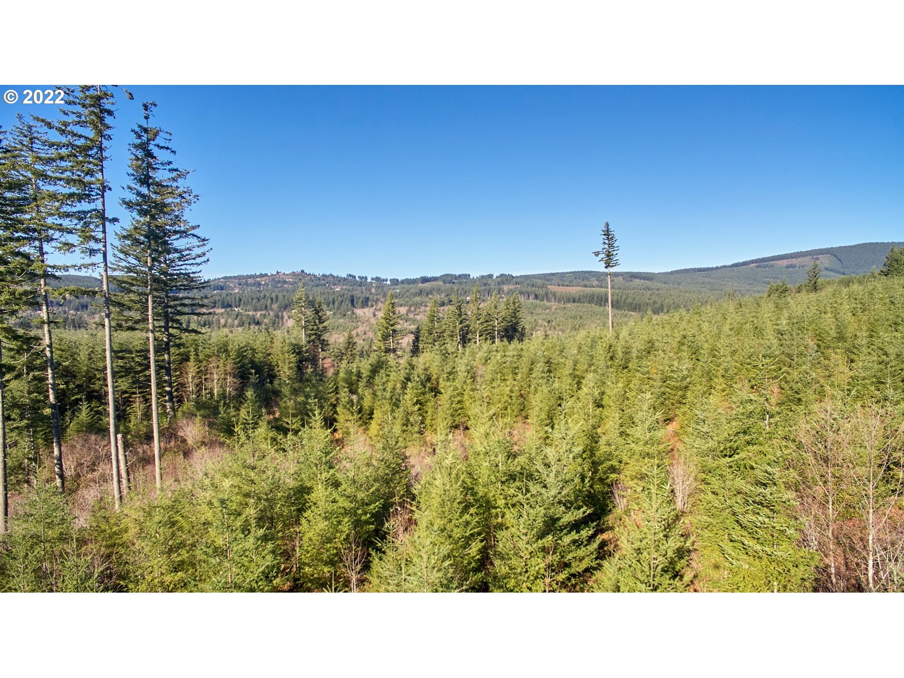 3 NE Jones Creek RD