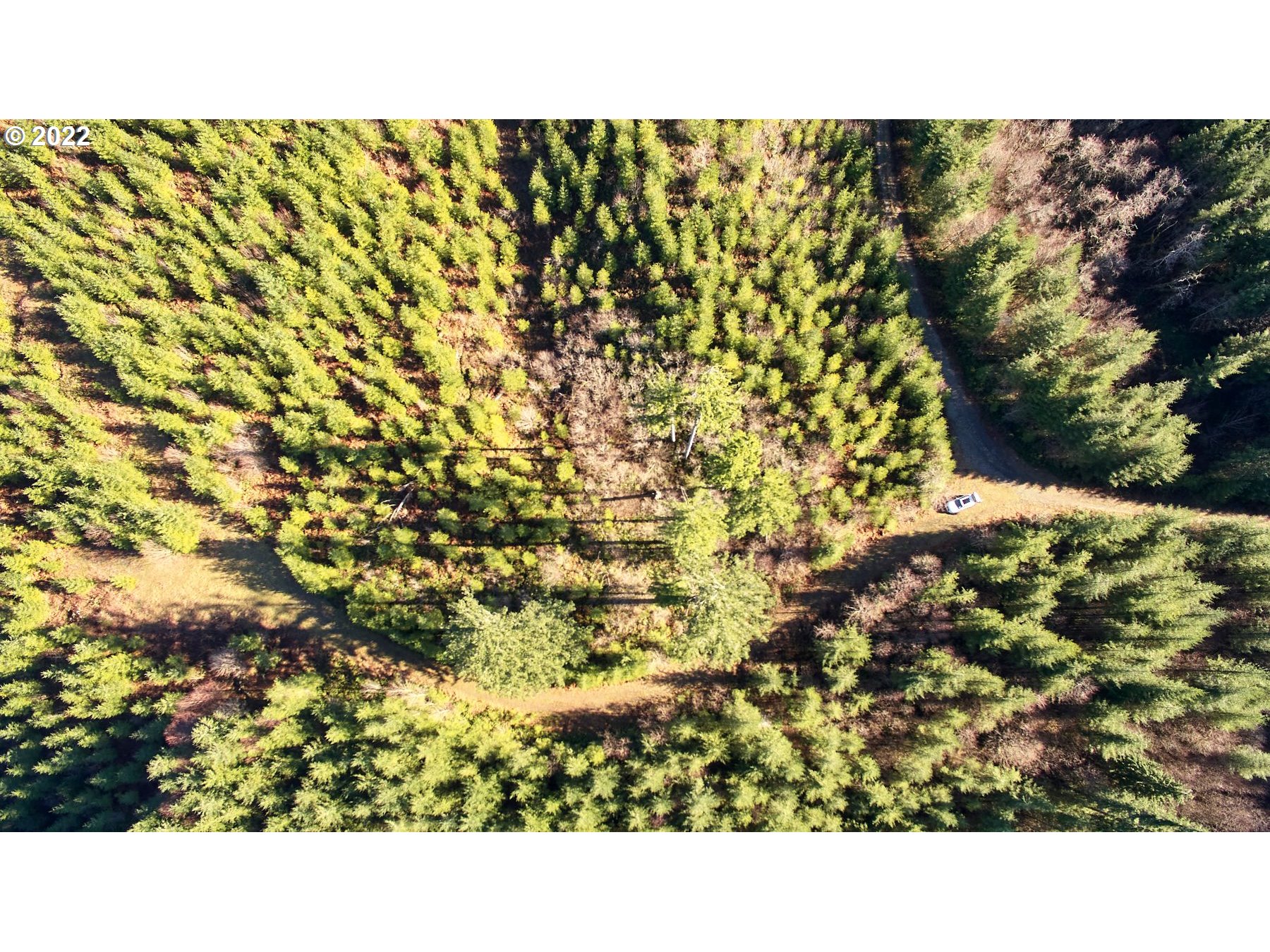 3 NE Jones Creek RD