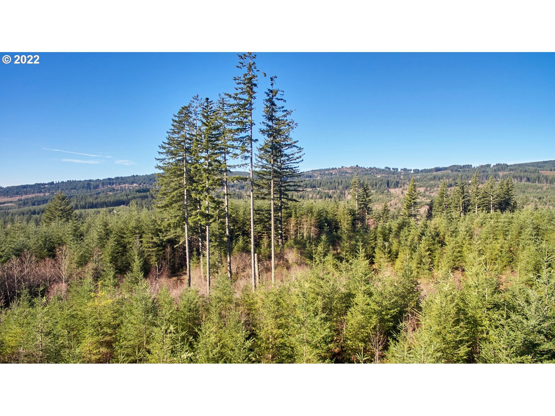 3 NE Jones Creek RD