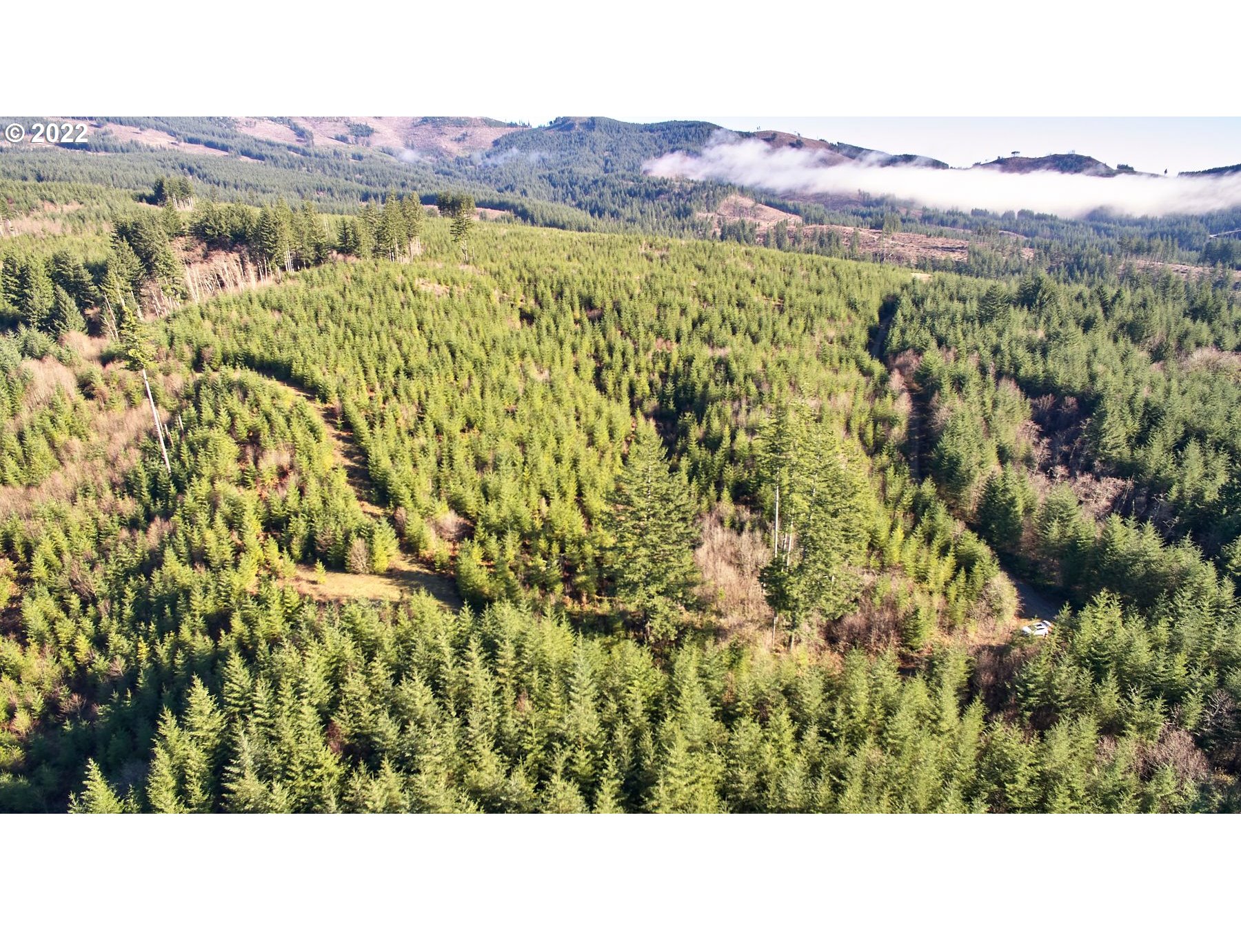 3 NE Jones Creek RD