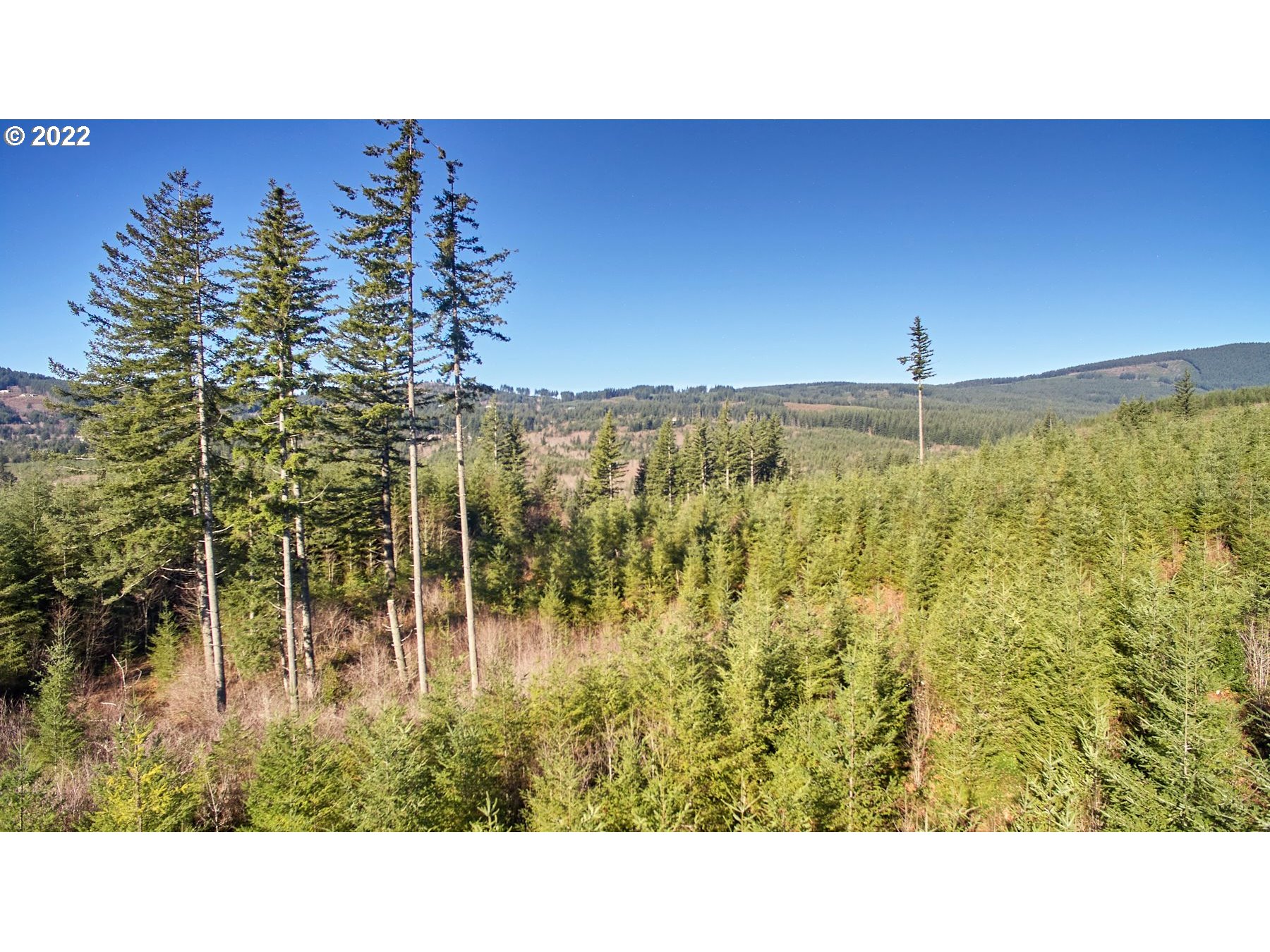 3 NE Jones Creek RD