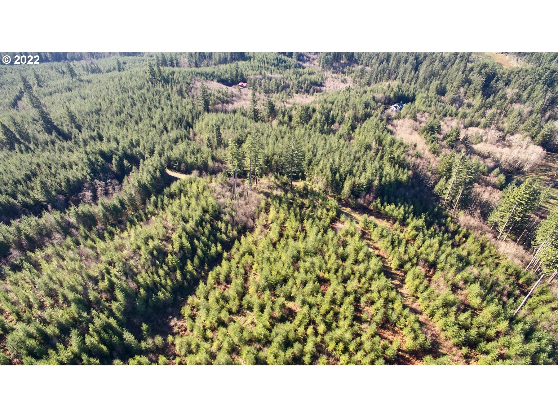 3 NE Jones Creek RD