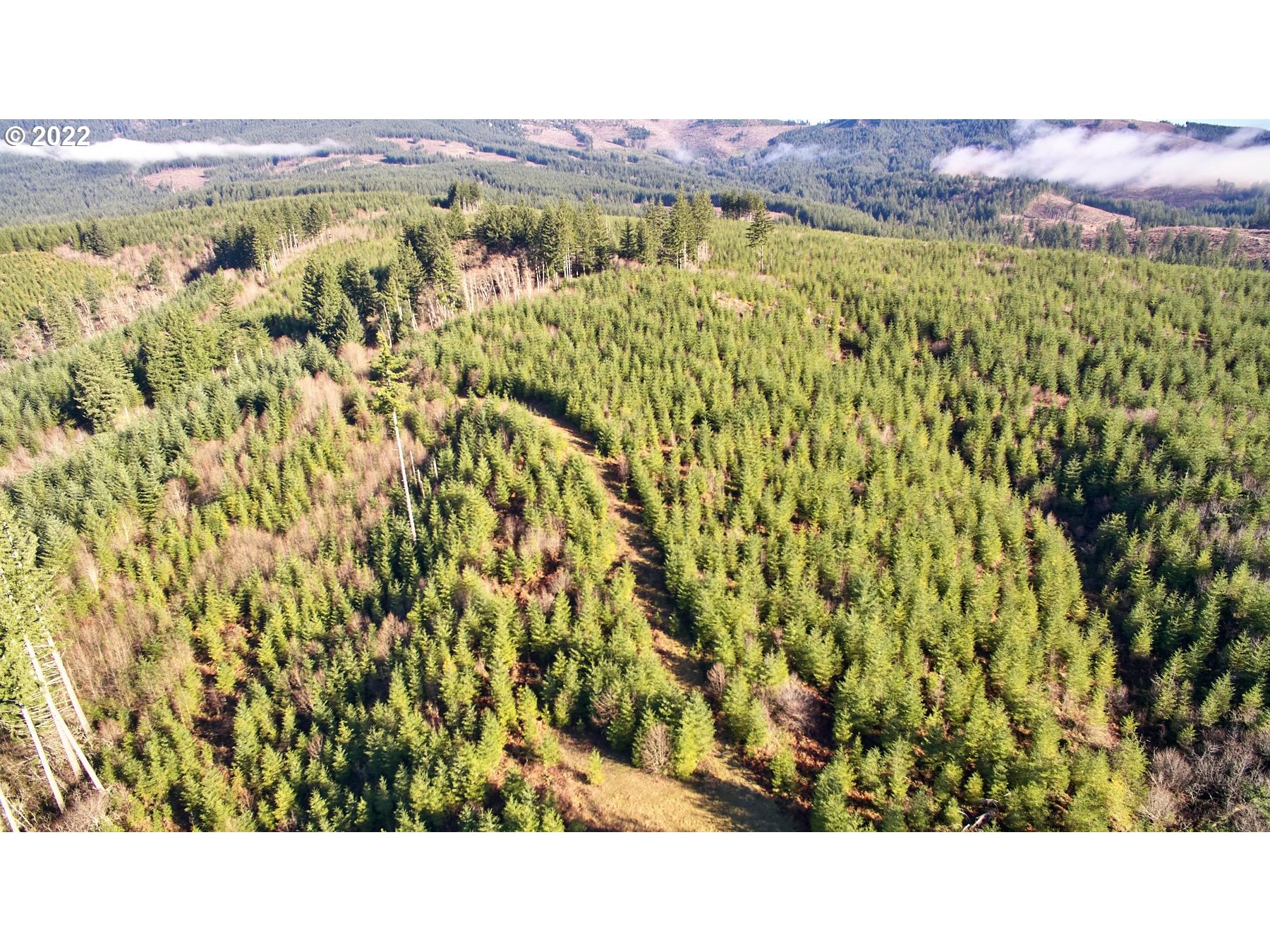 3 NE Jones Creek RD