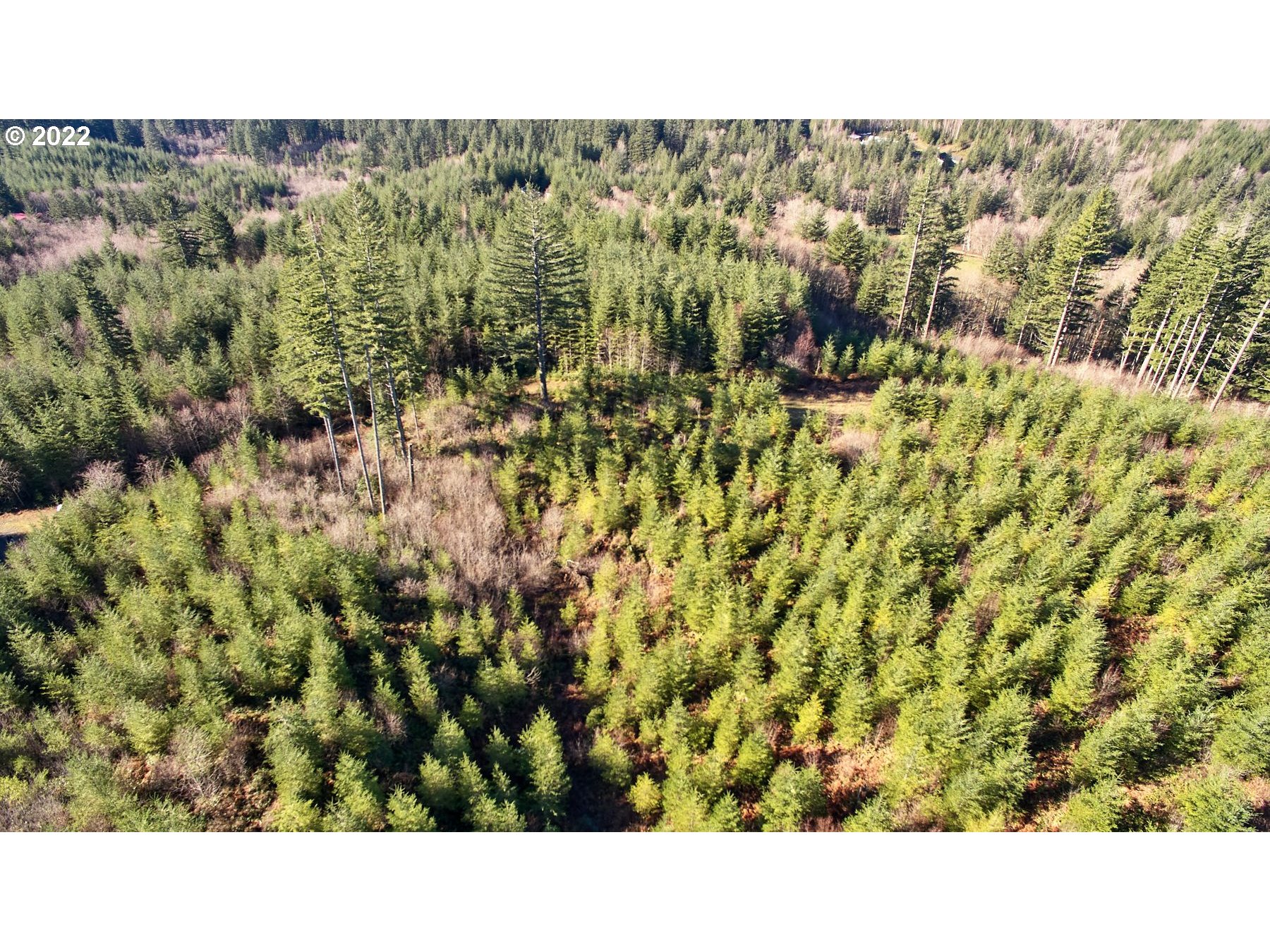 3 NE Jones Creek RD
