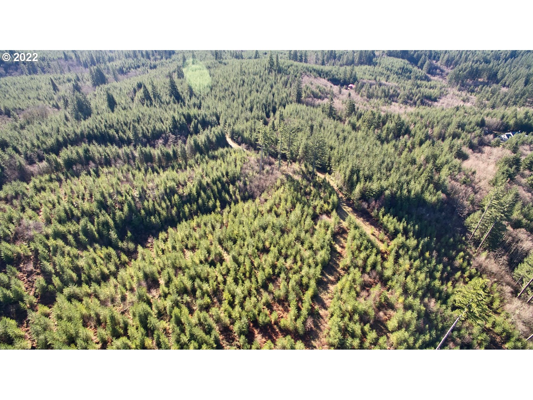 3 NE Jones Creek RD