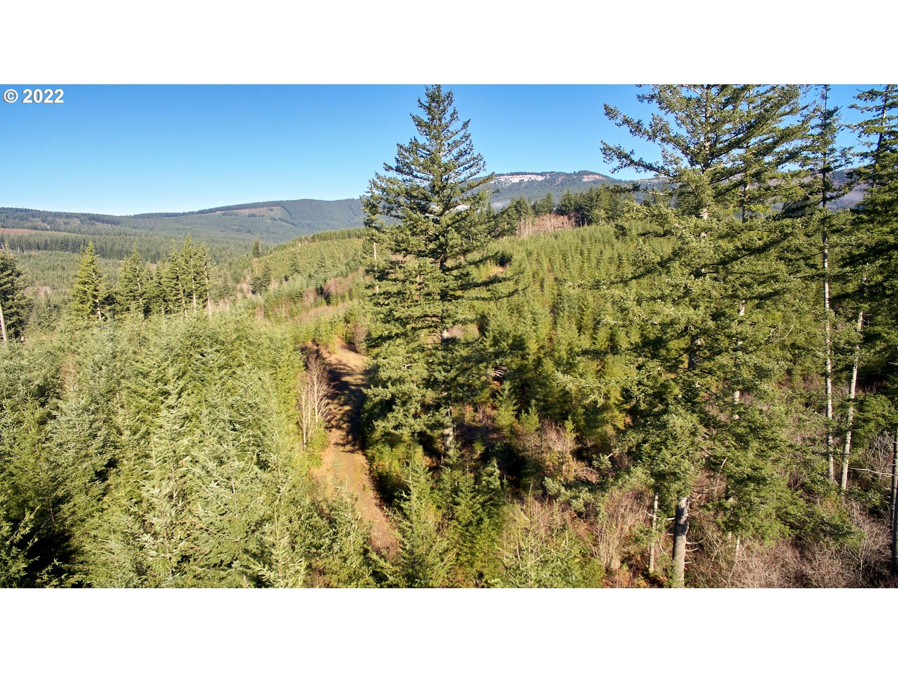 3 NE Jones Creek RD