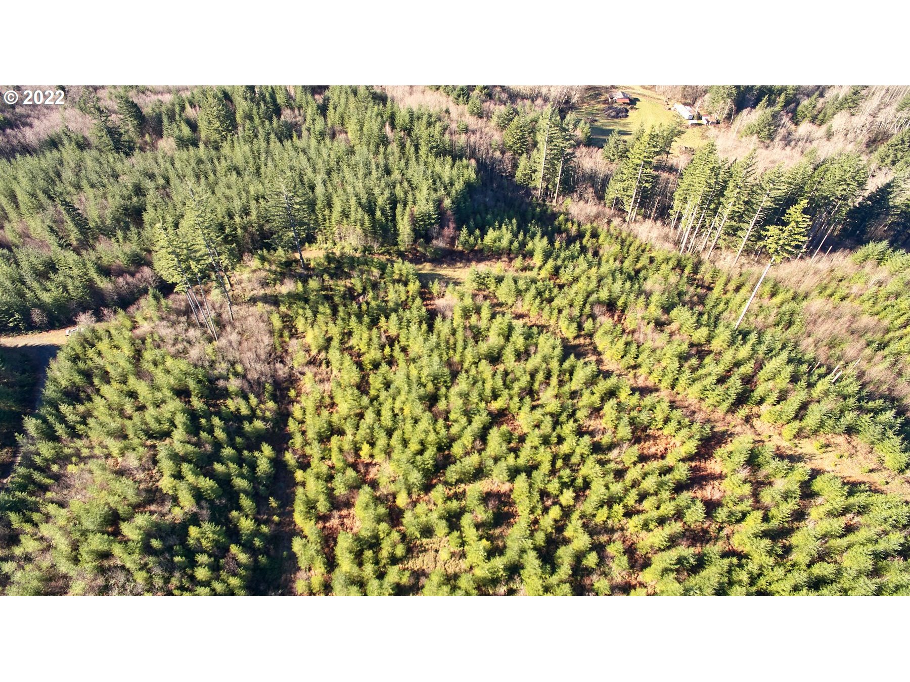 3 NE Jones Creek RD