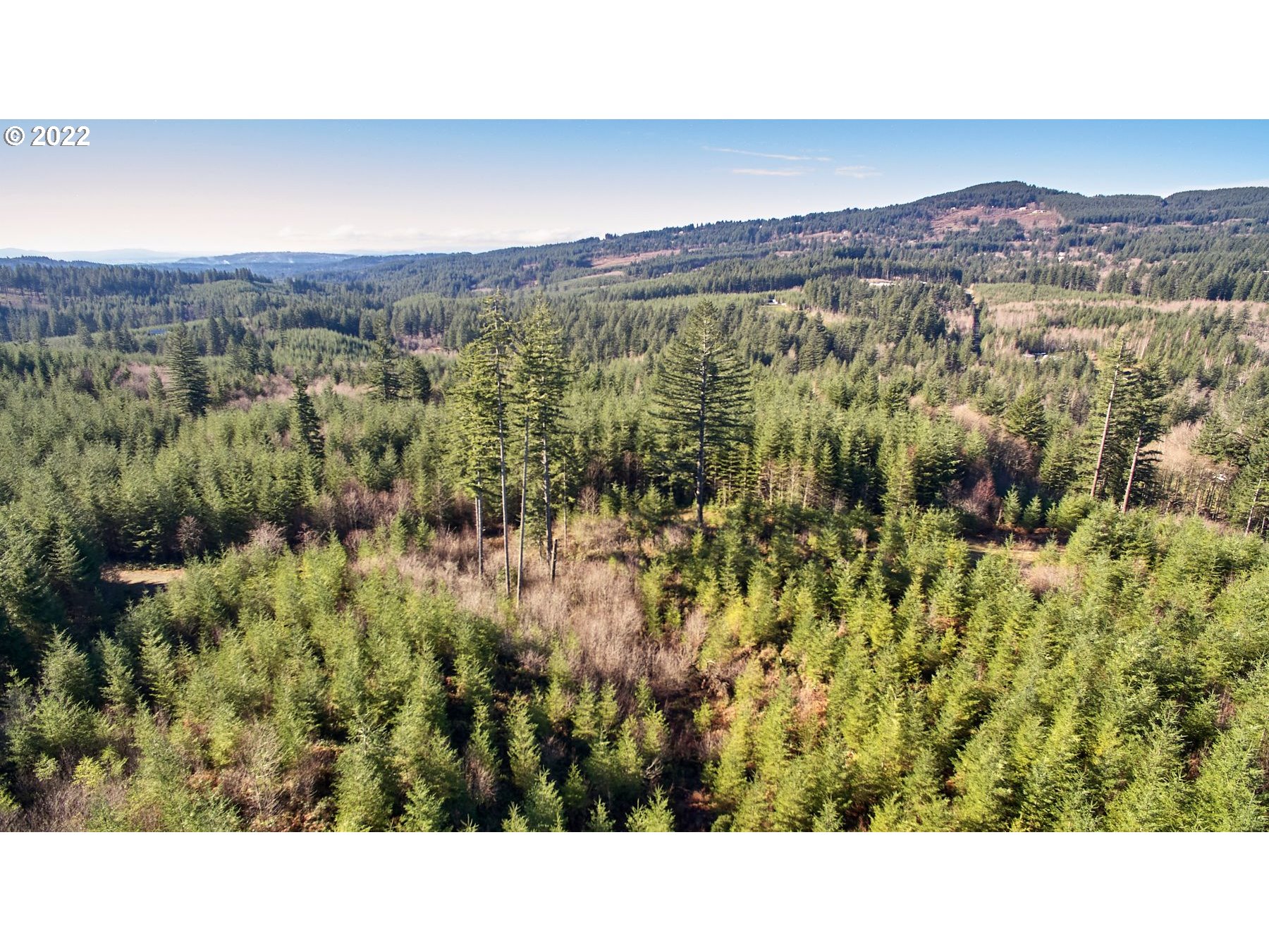 3 NE Jones Creek RD