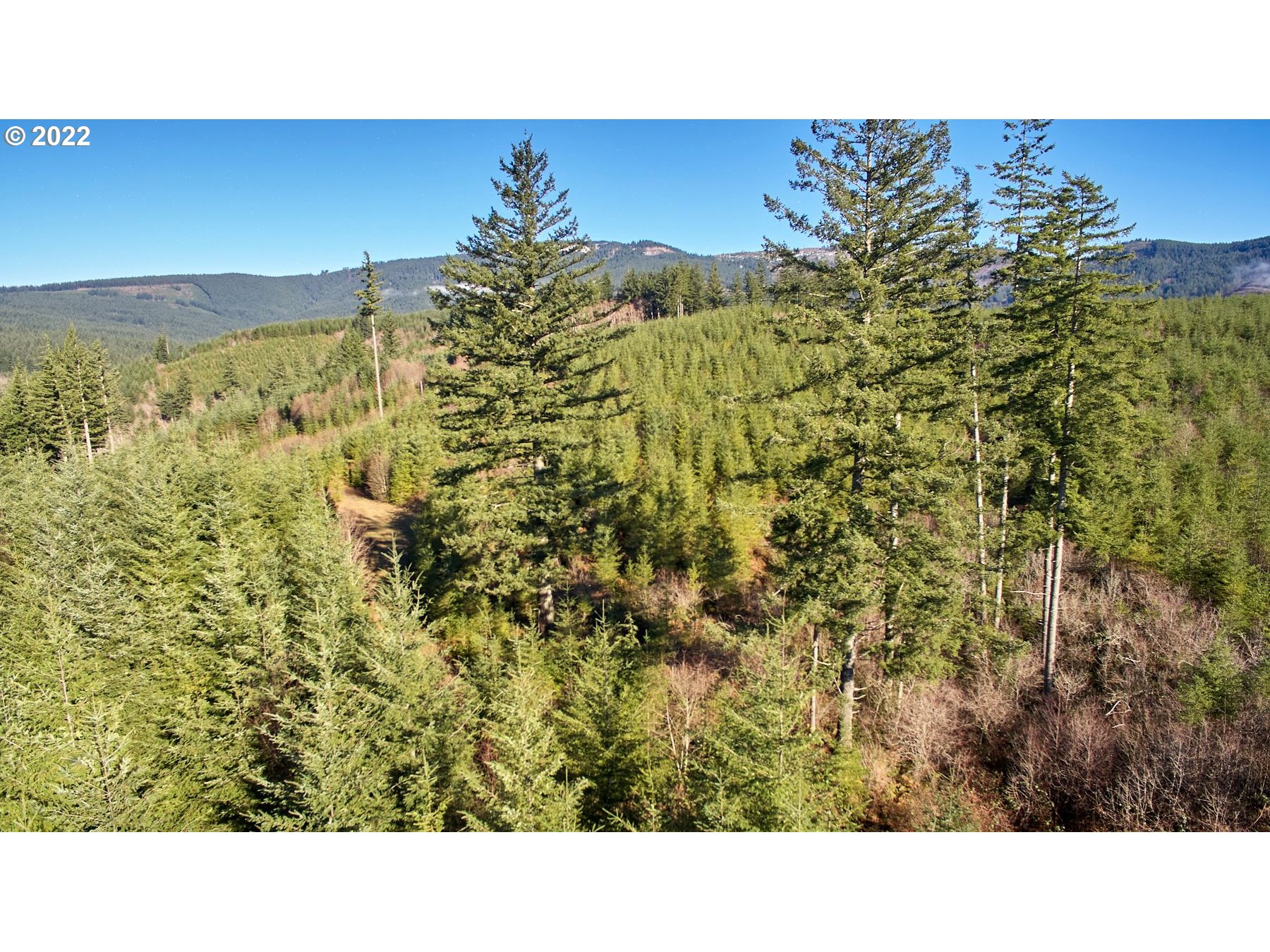 3 NE Jones Creek RD