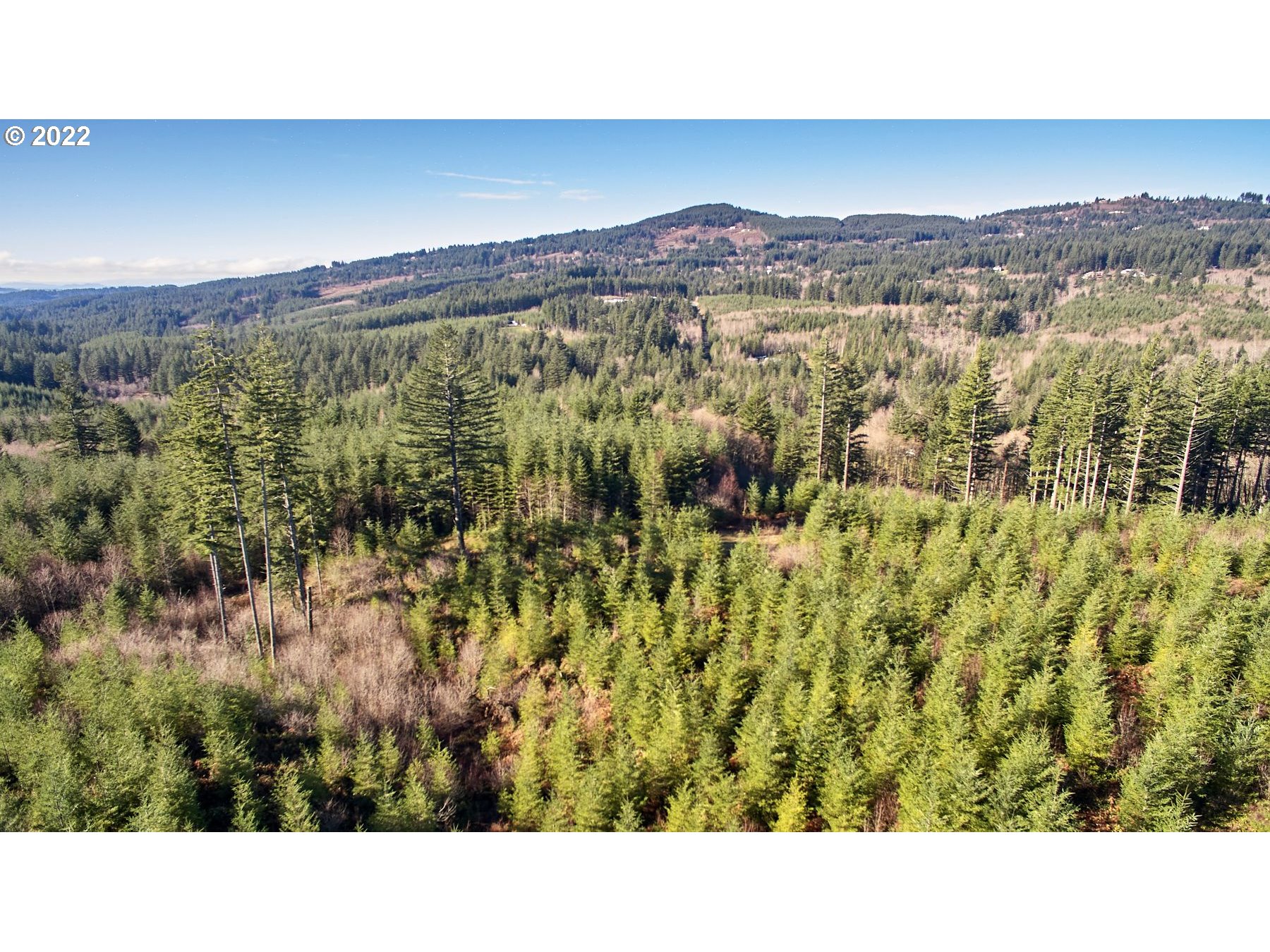 3 NE Jones Creek RD