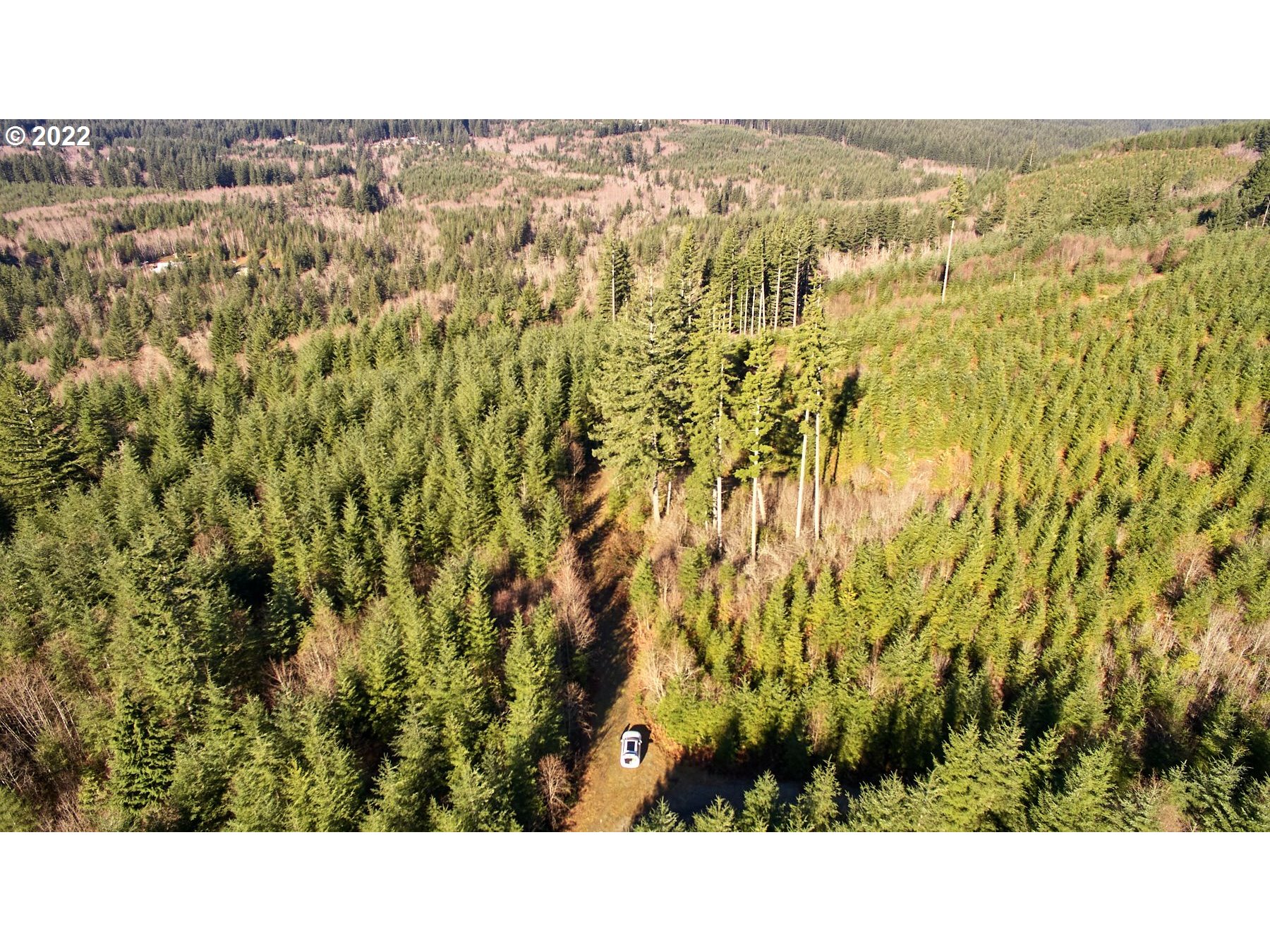 3 NE Jones Creek RD