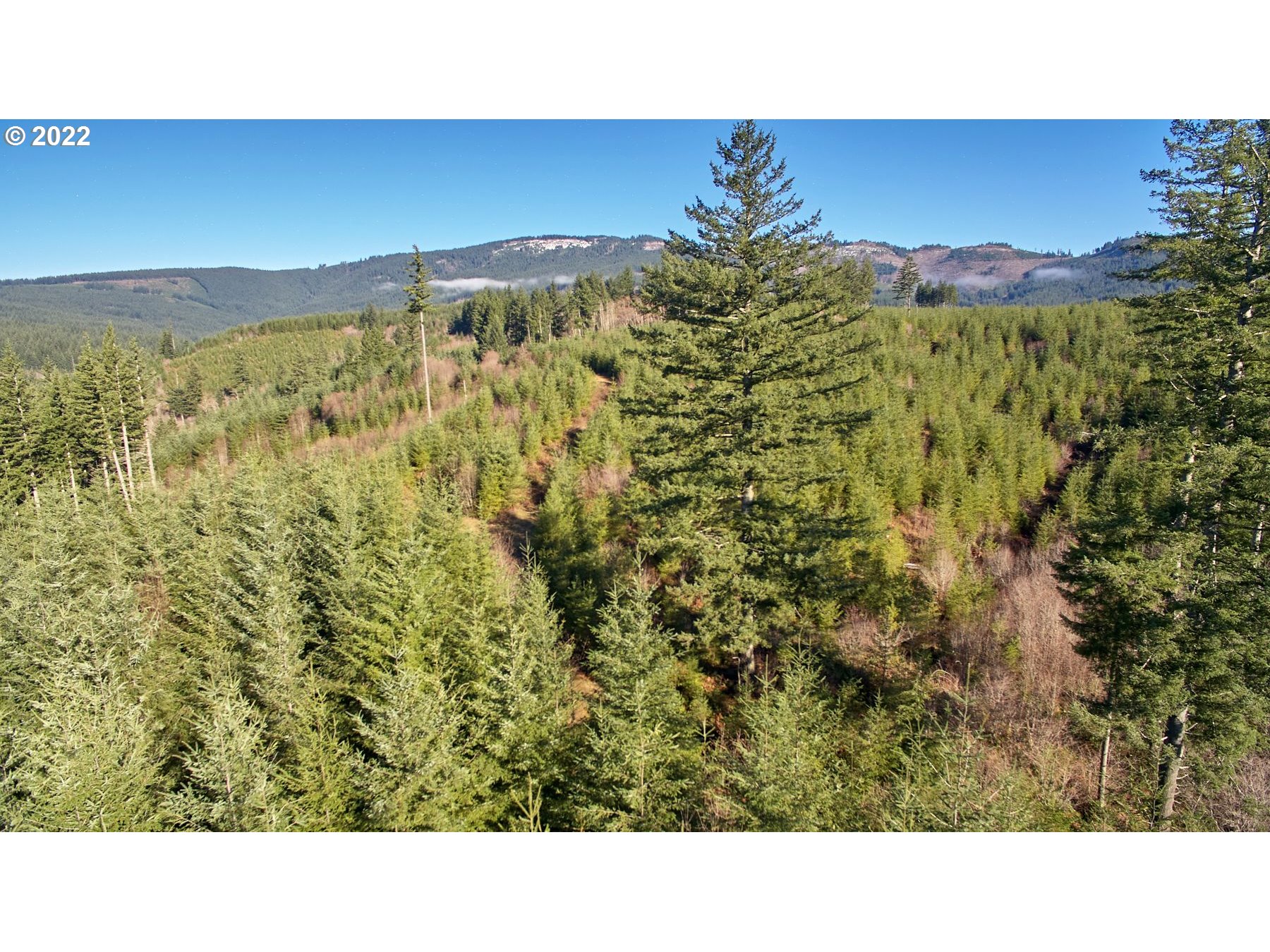 3 NE Jones Creek RD