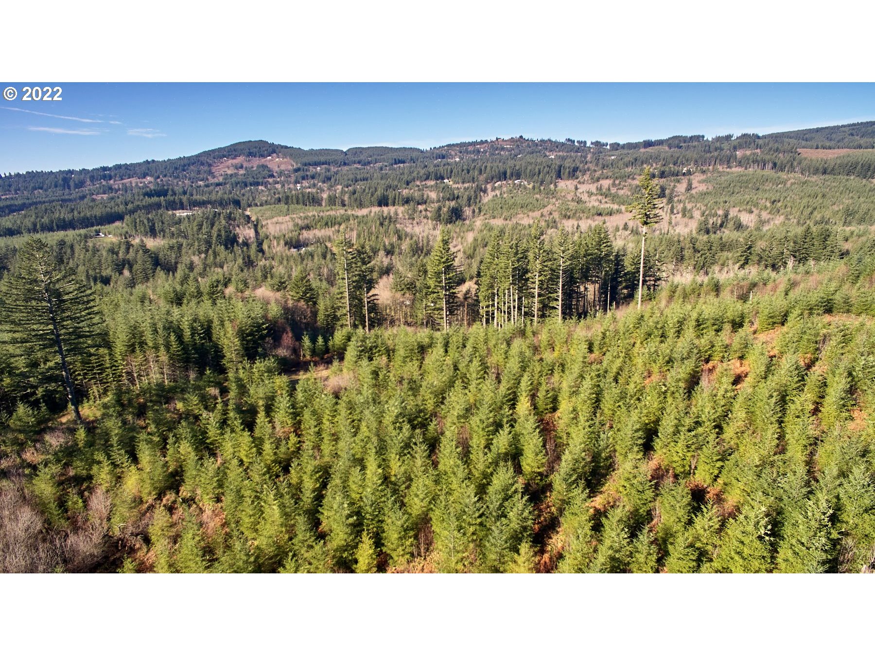 3 NE Jones Creek RD