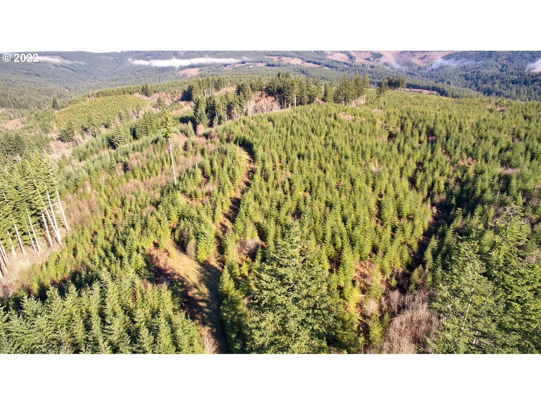 3 NE Jones Creek RD
