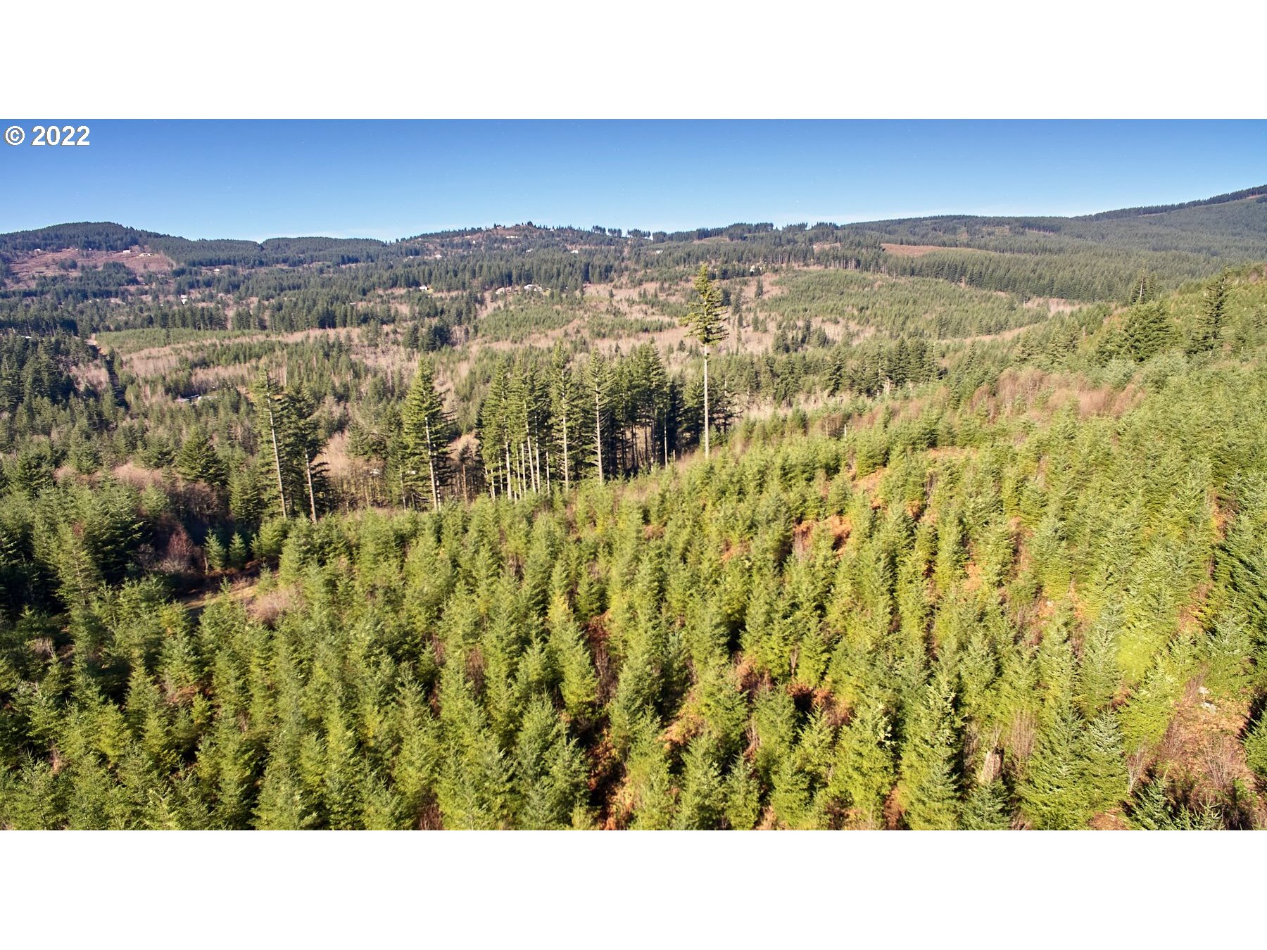 3 NE Jones Creek RD