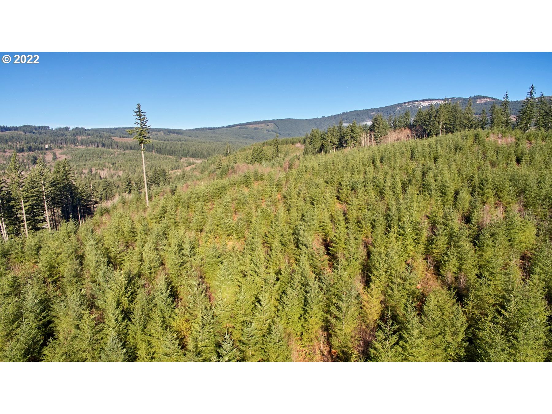 3 NE Jones Creek RD