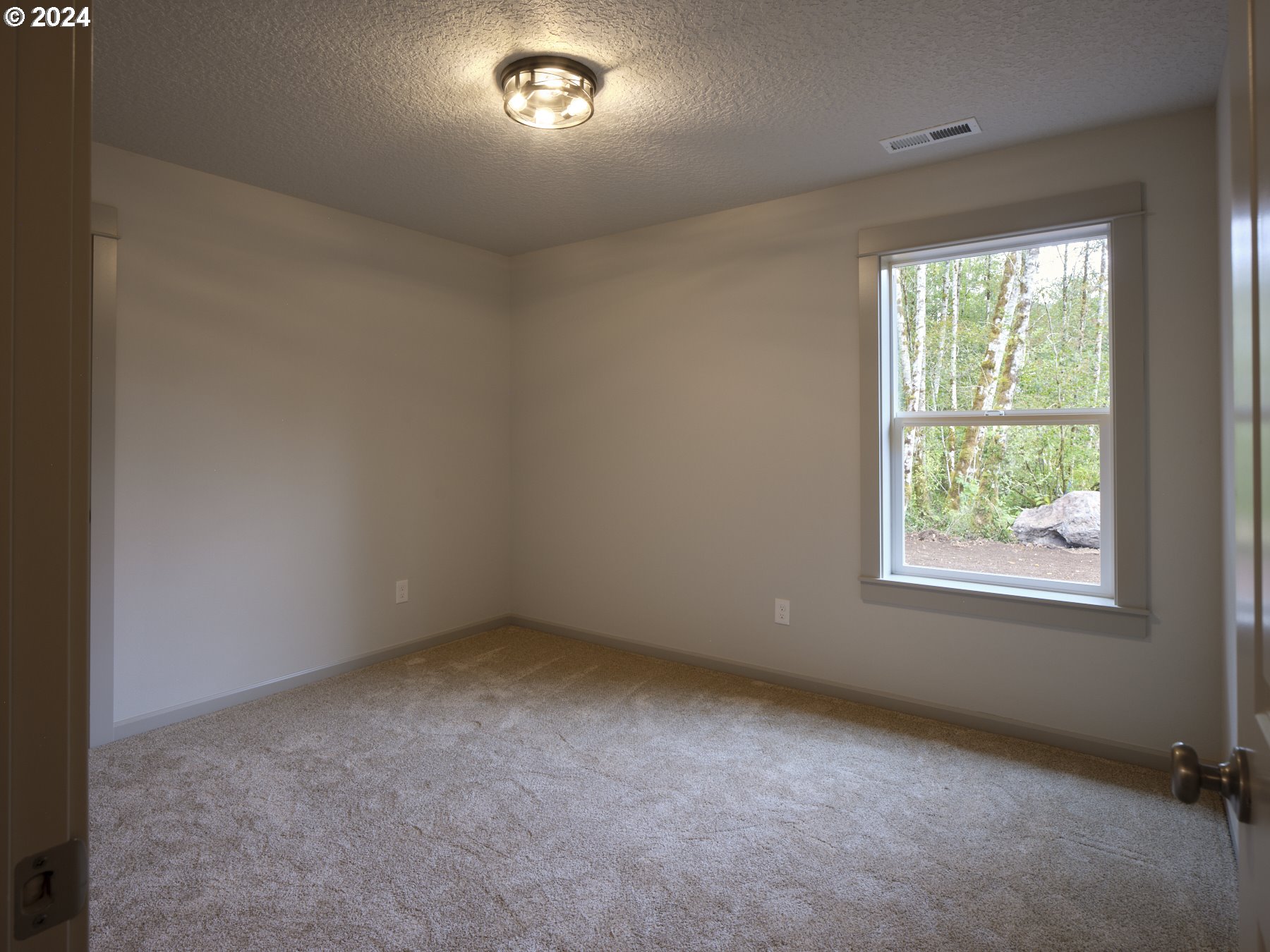 11226 LEWIS RIVER RD