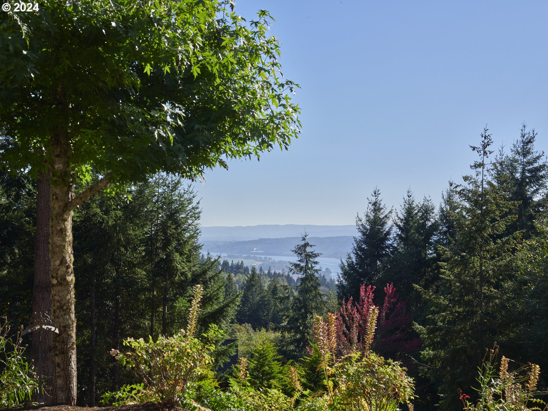 133 RIVERSCAPE RD