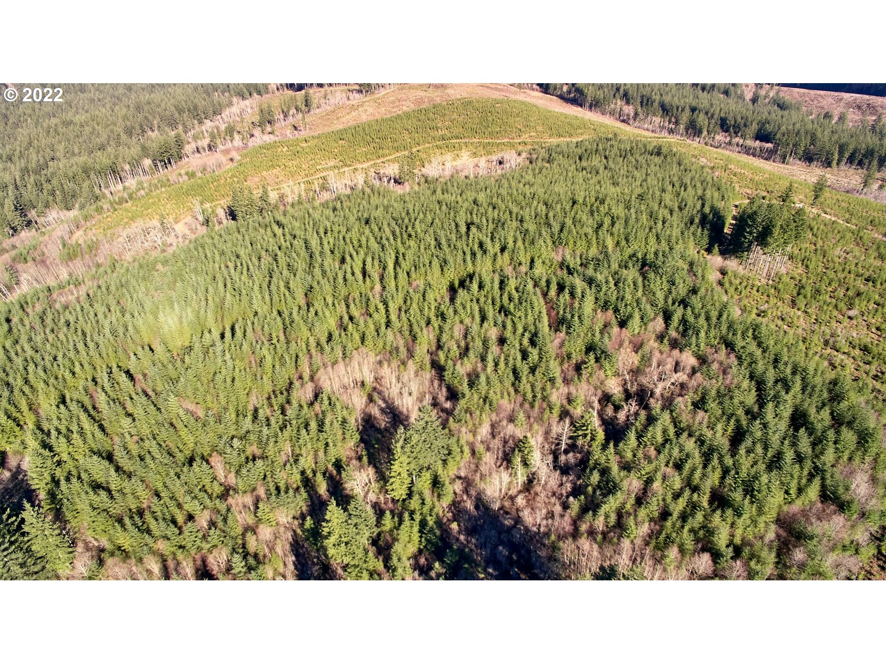 2 NE Jones Creek RD