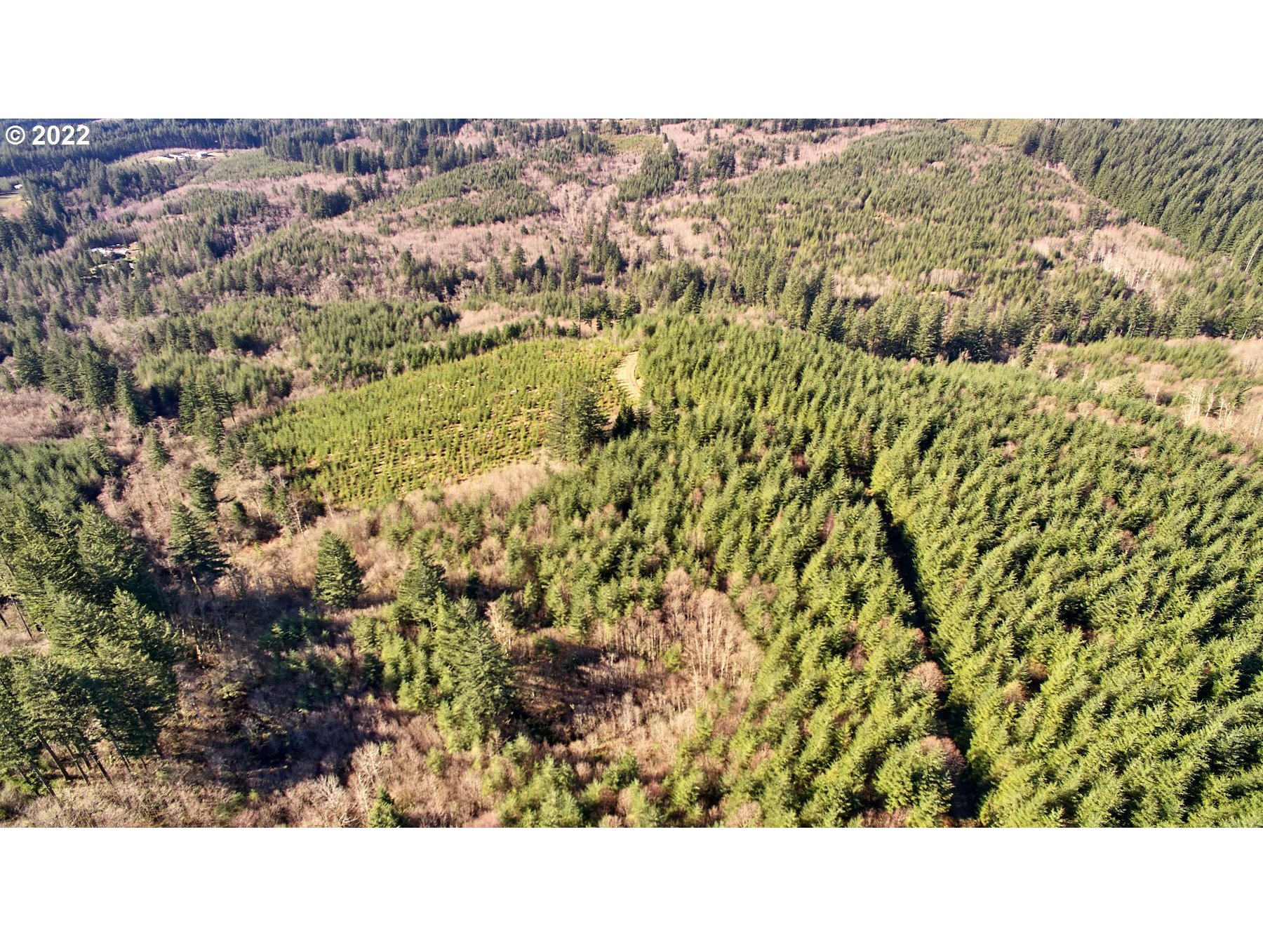 2 NE Jones Creek RD