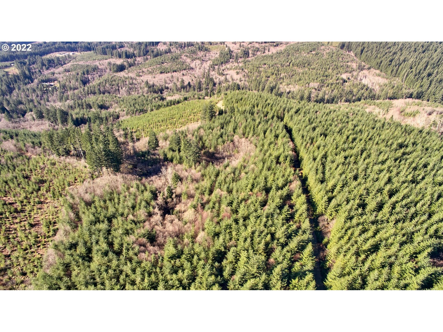 2 NE Jones Creek RD