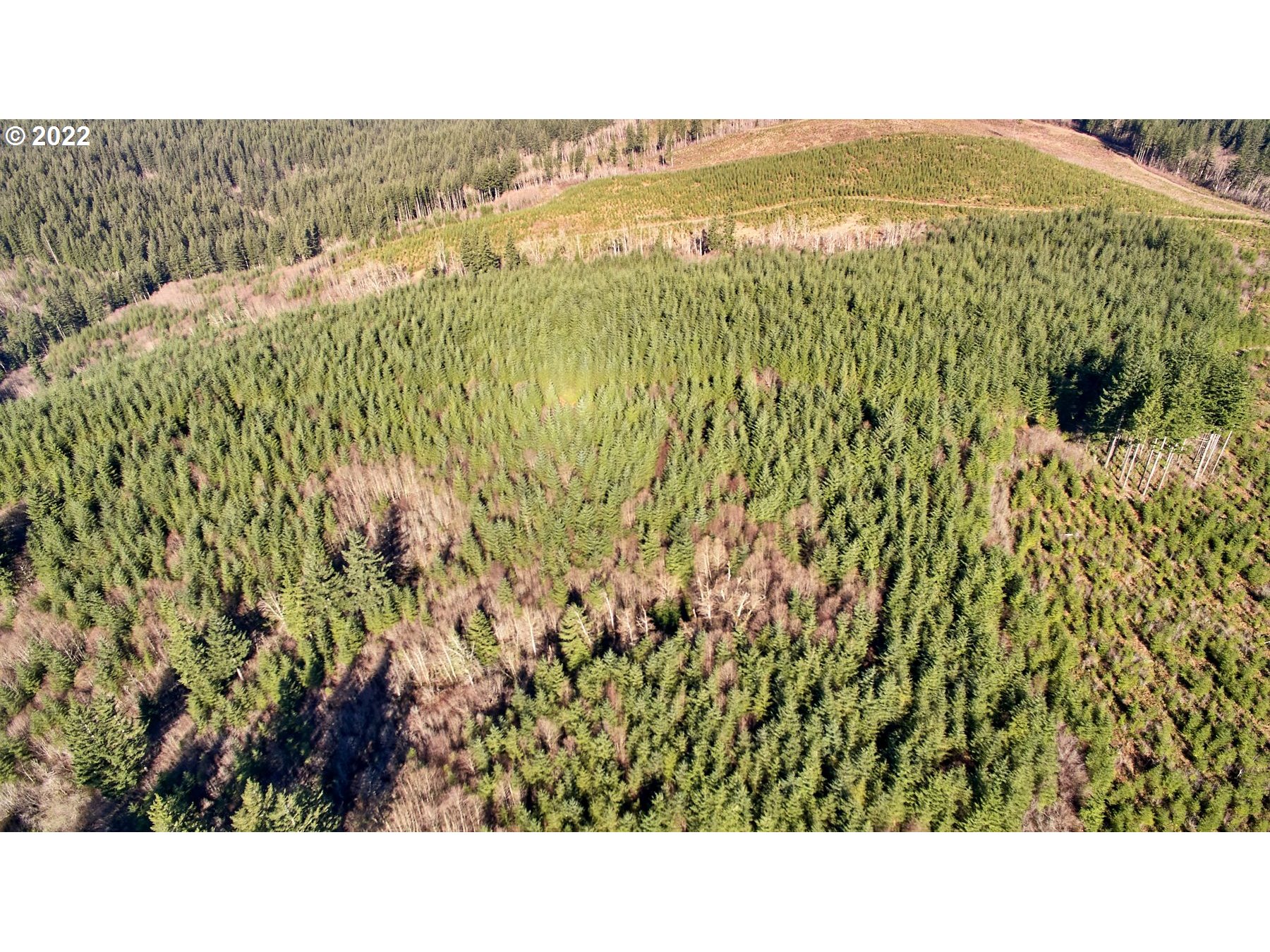 2 NE Jones Creek RD