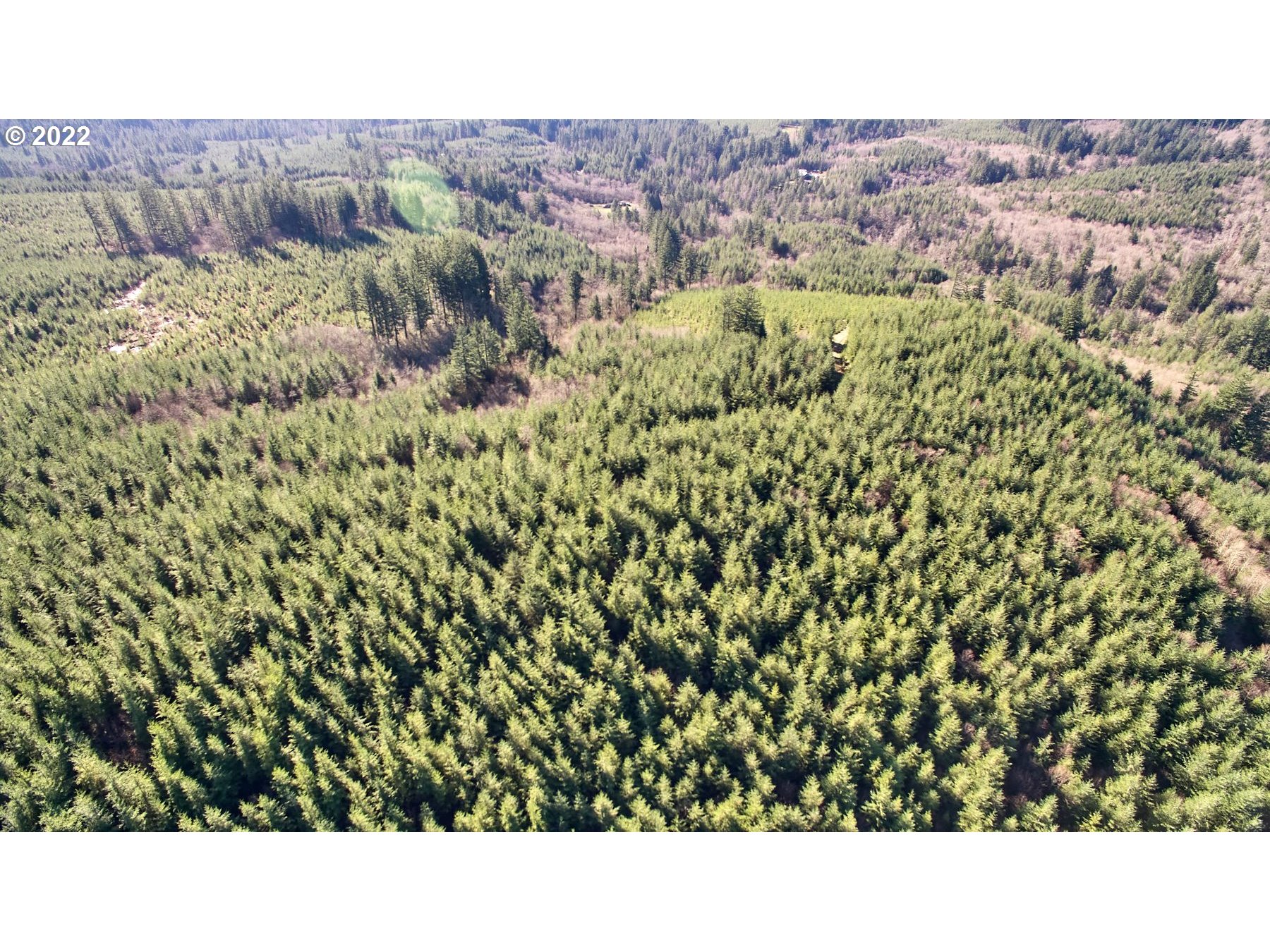 2 NE Jones Creek RD