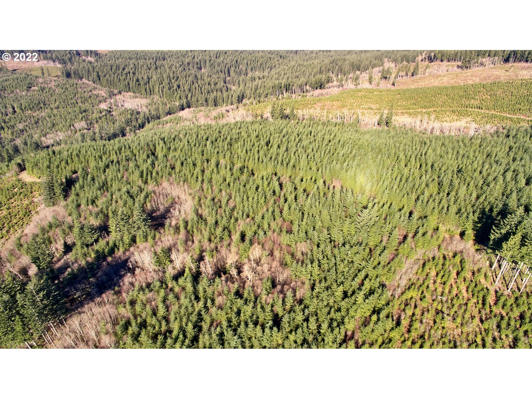 2 NE Jones Creek RD