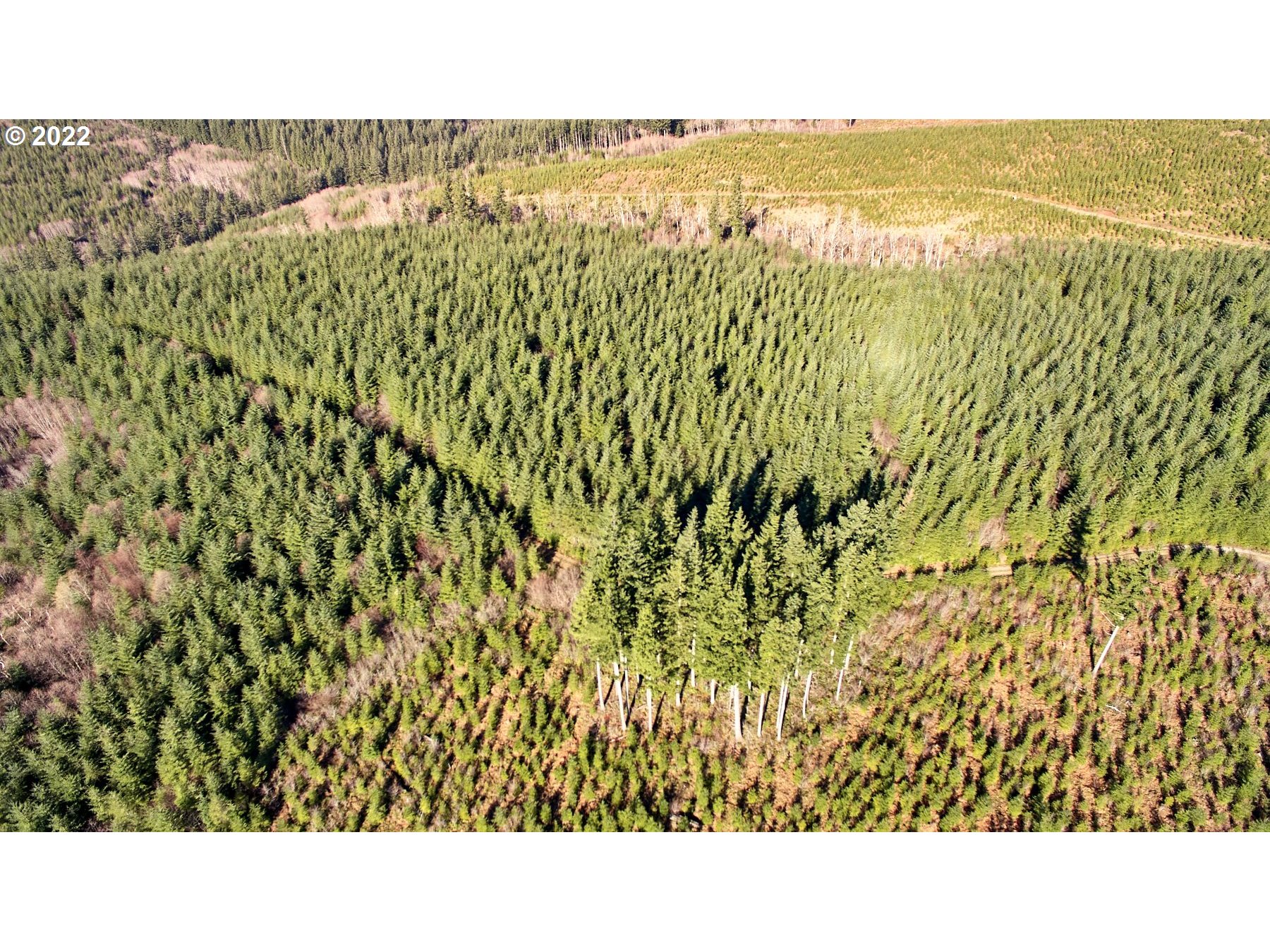 2 NE Jones Creek RD