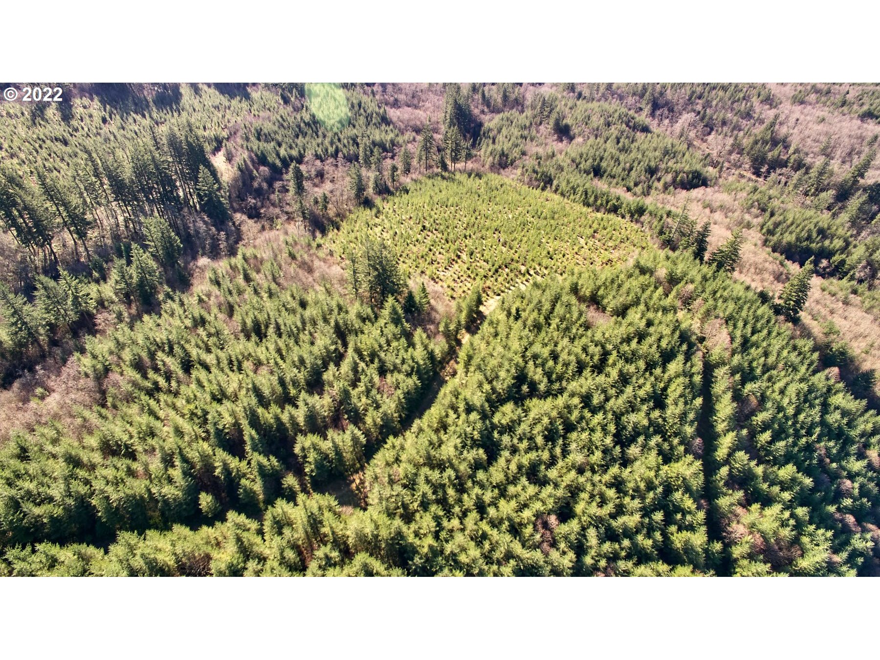 2 NE Jones Creek RD